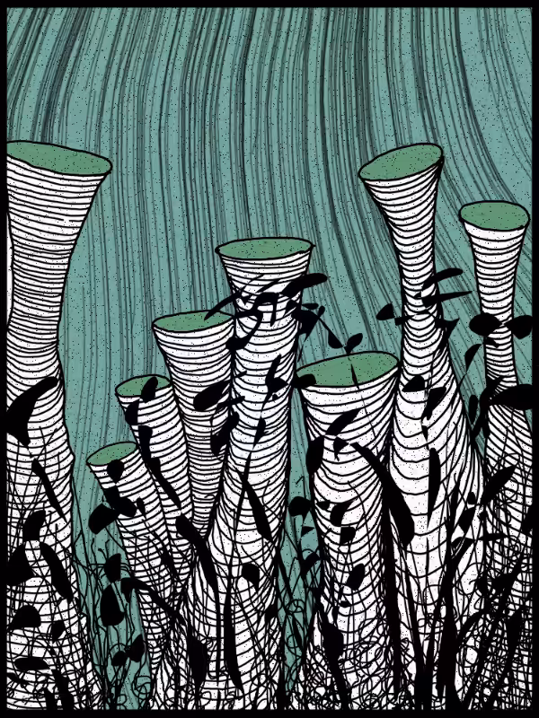 Play with lines #zentangle #64