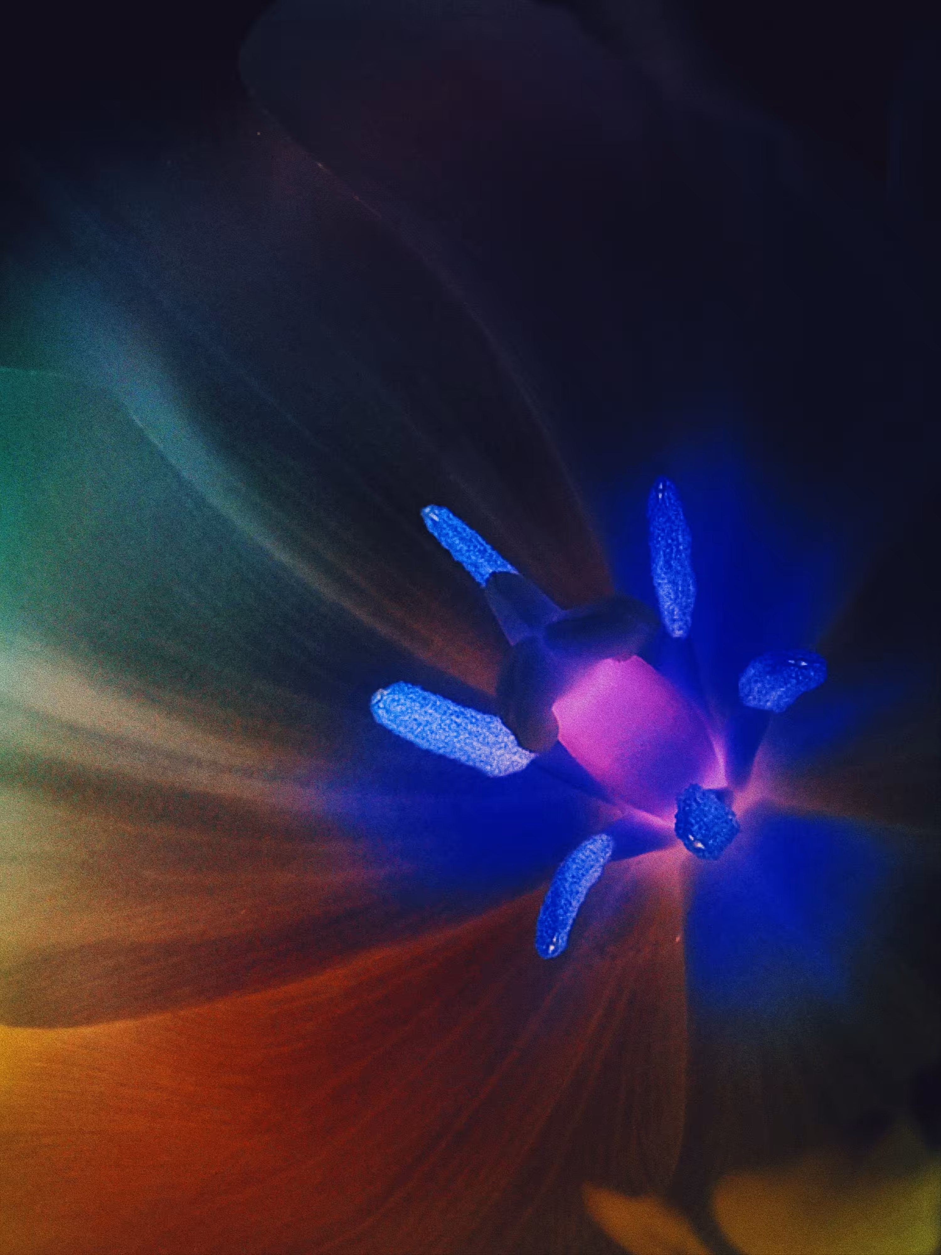 Rodeo post #545: NEON V