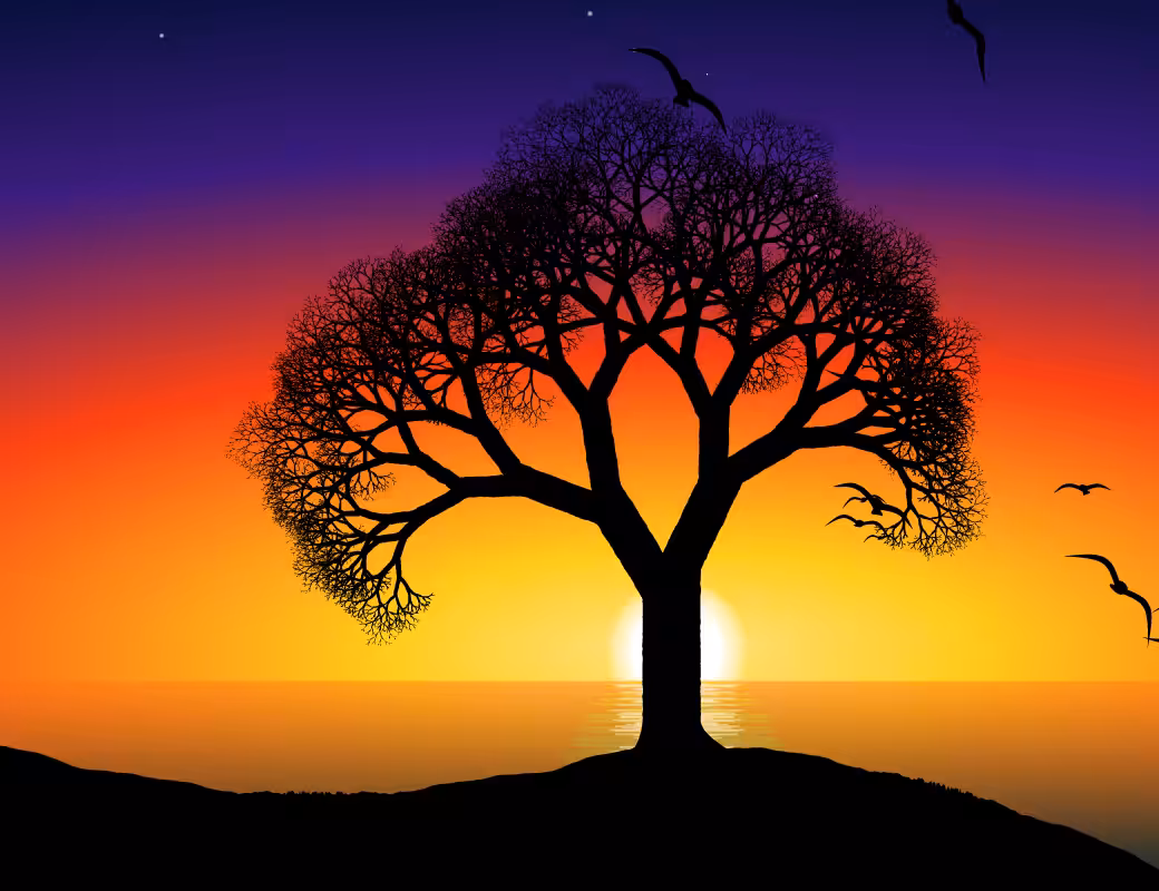 This Tree #26