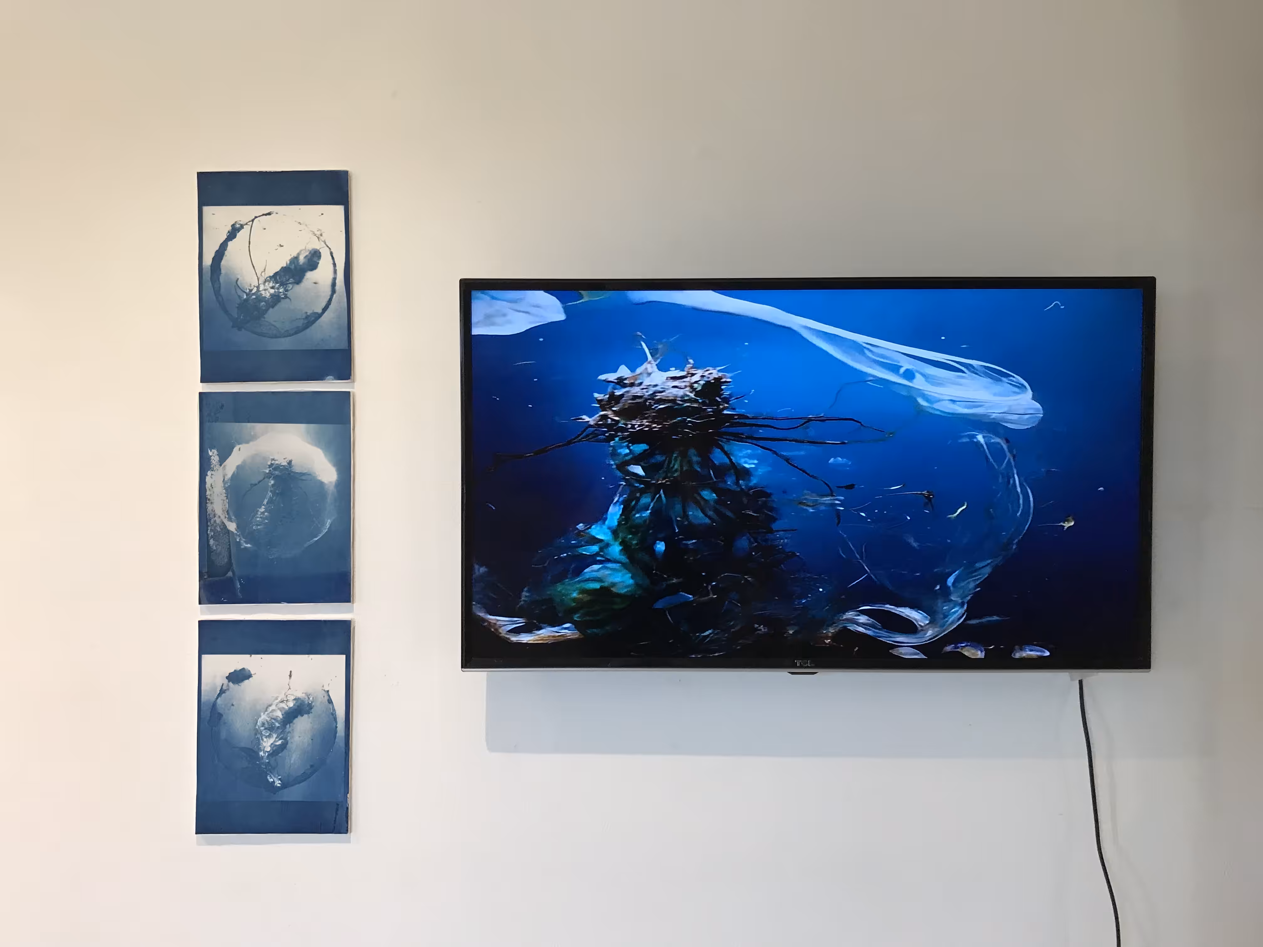 plastisphere creatures - Manipulated exhibition documentation #2