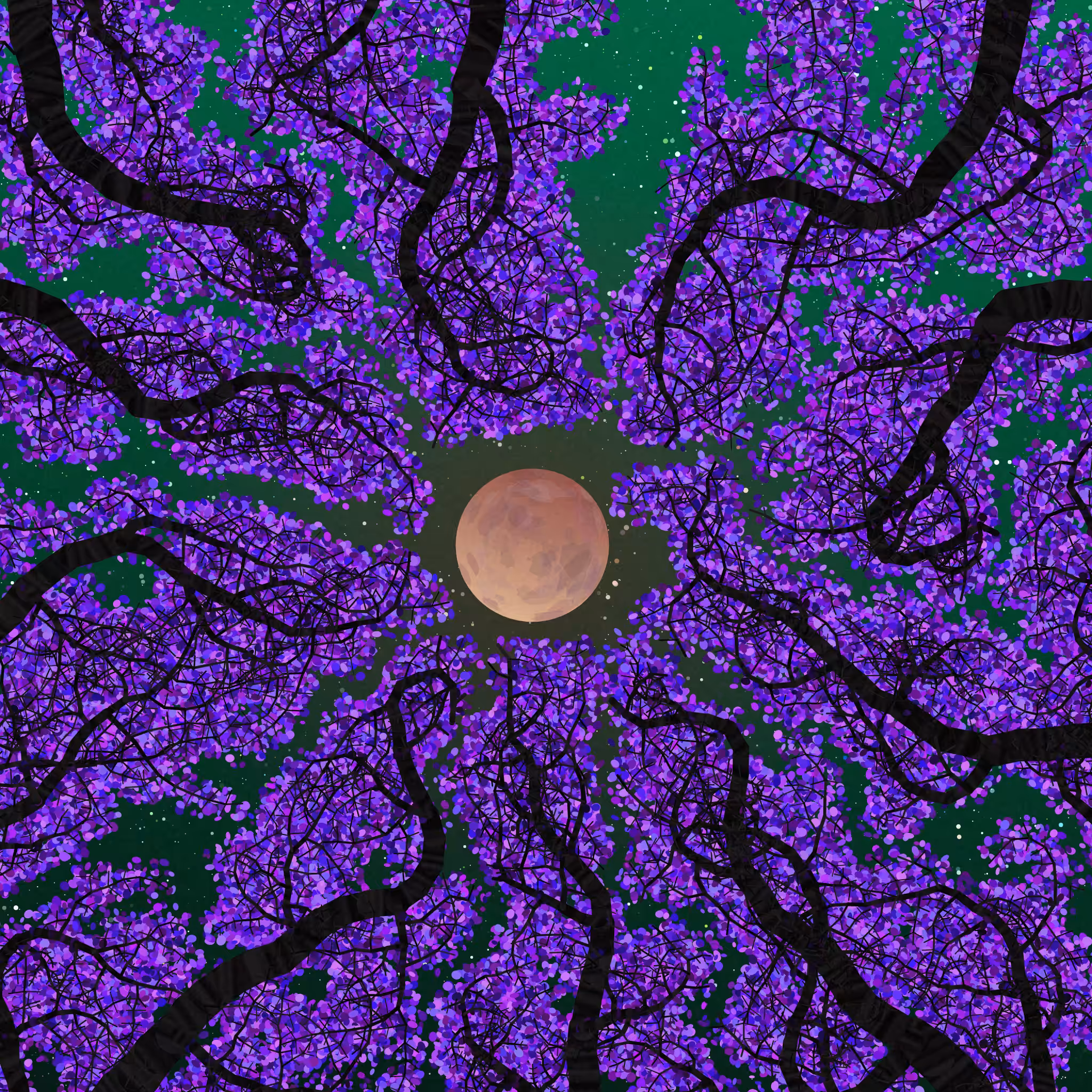Tree Skyness #207