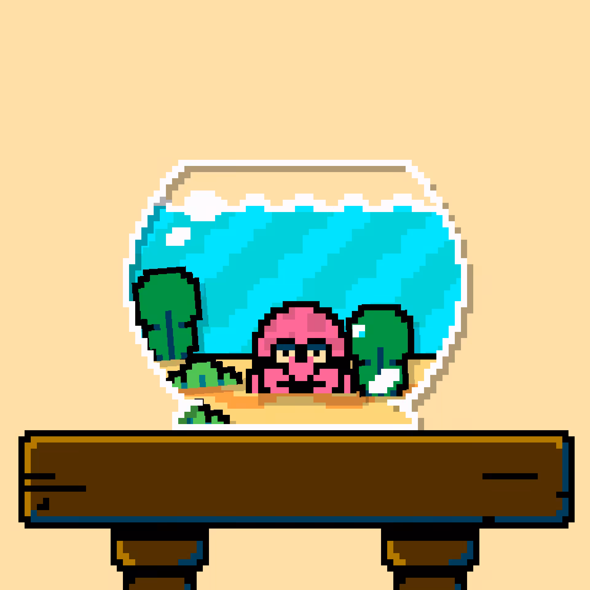 hermit crab #120