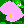 calla lily 01