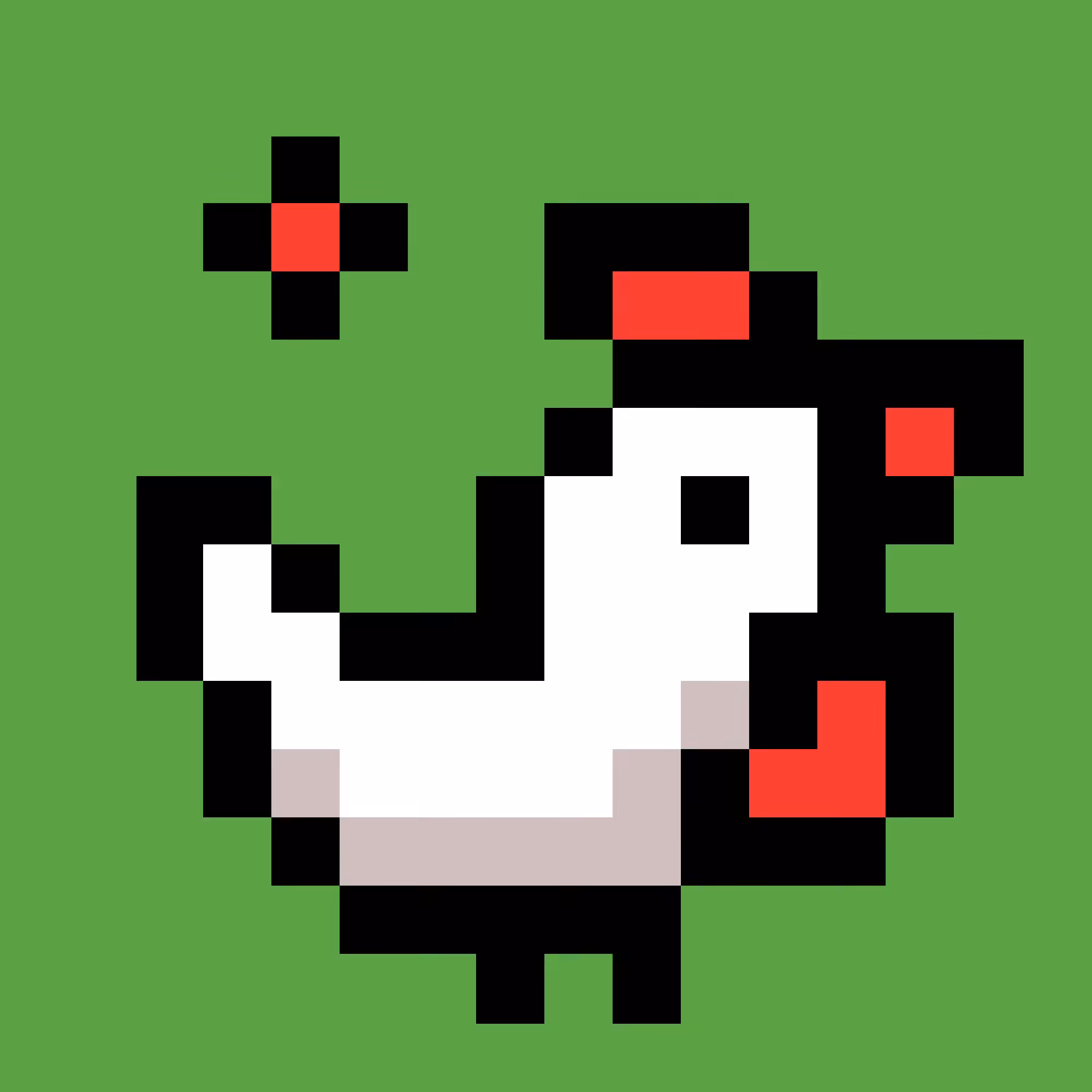 Star Rooster