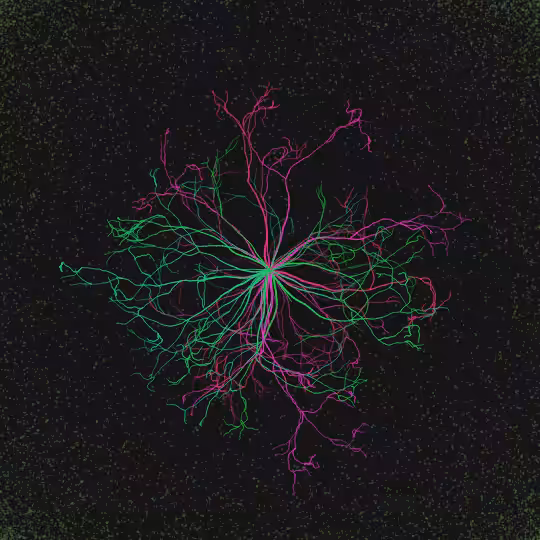 nuclear decay #3