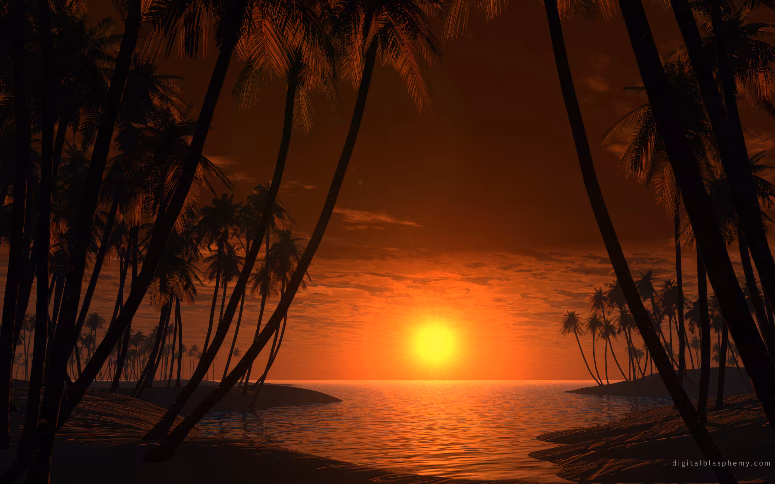Tropic of Cancer (2001)
