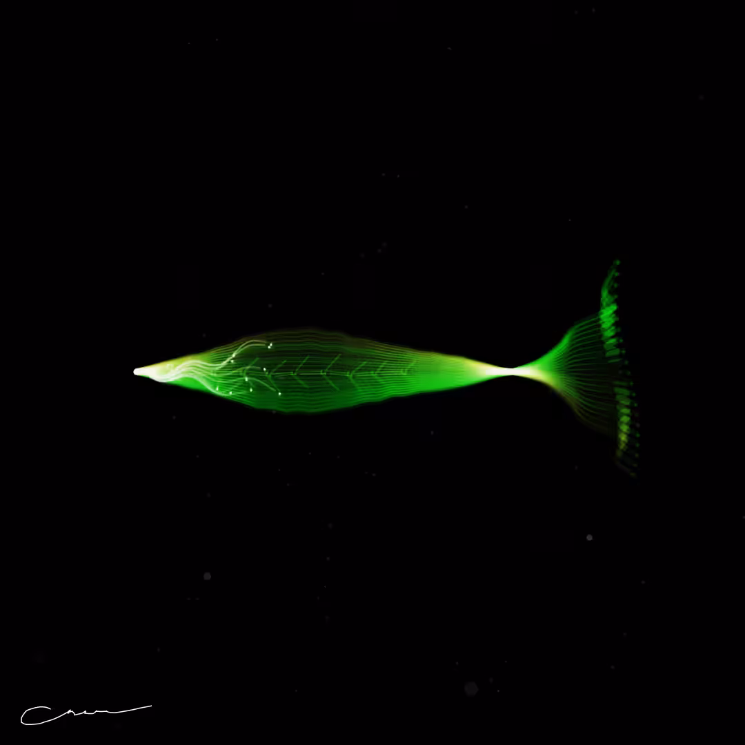 SoulFish #297