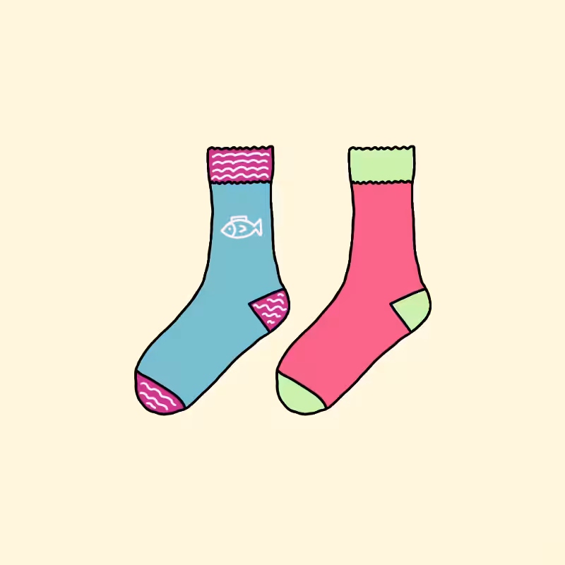 Socks #80