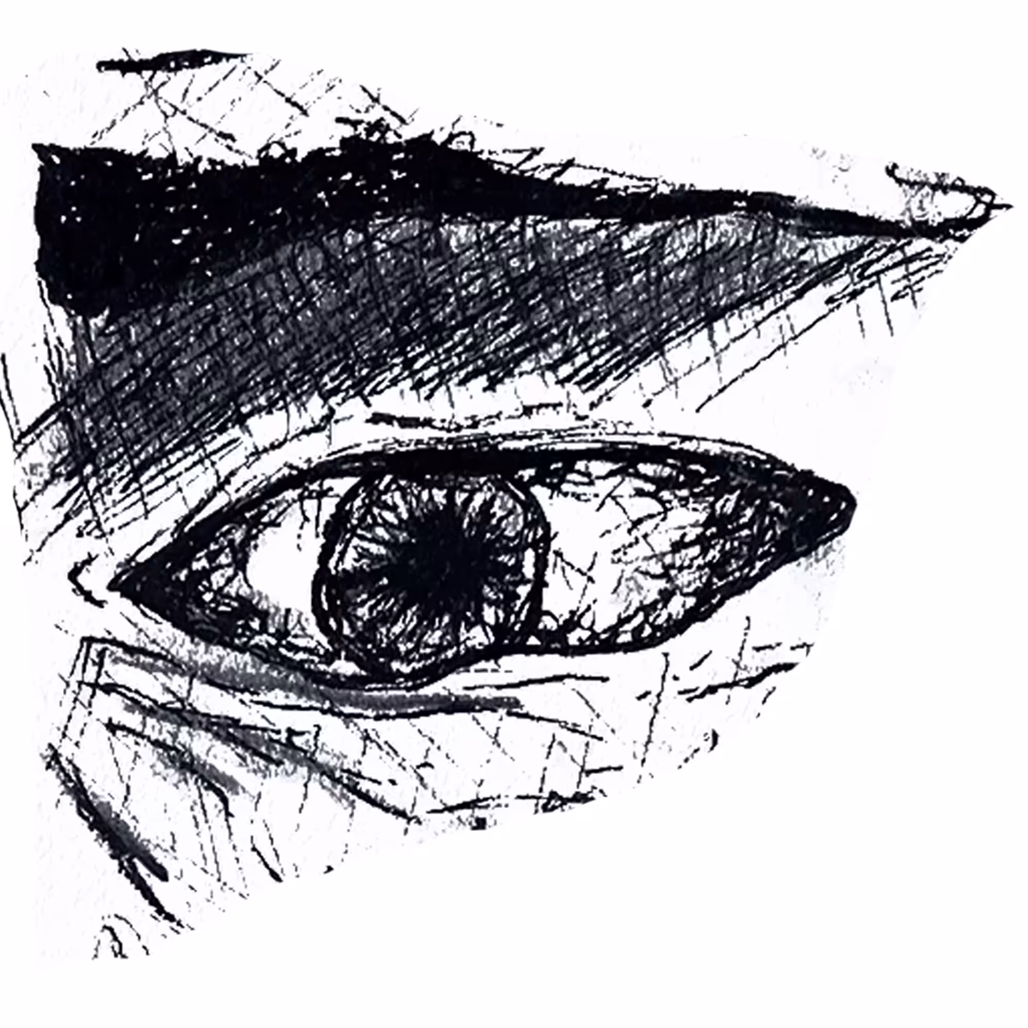 An Affordable Eye