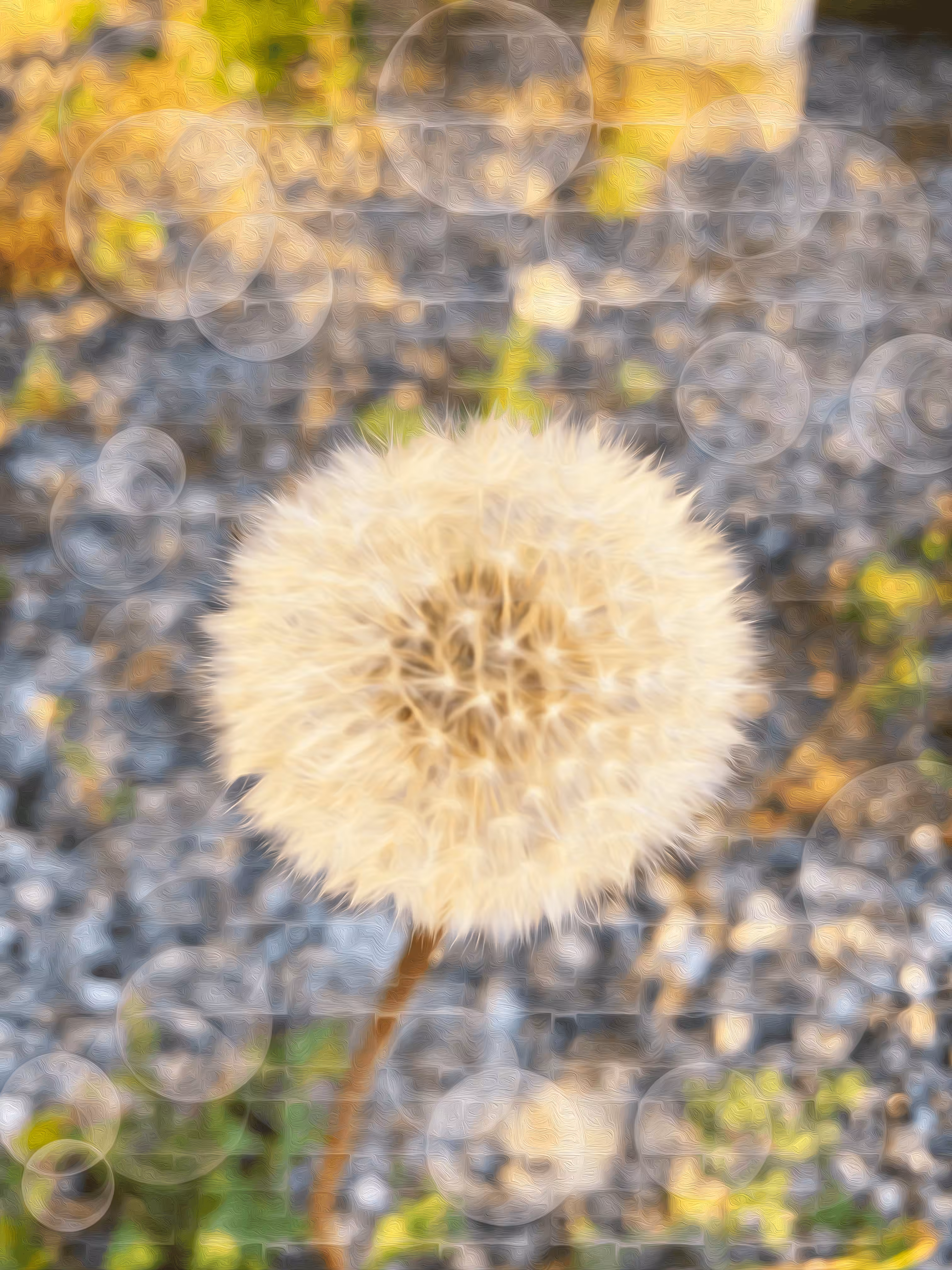 Summer Breeze