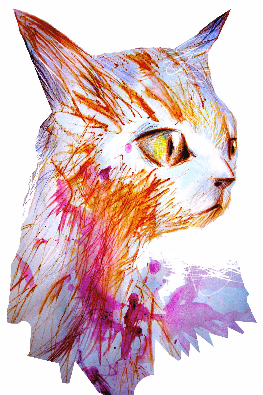 Holy Feline