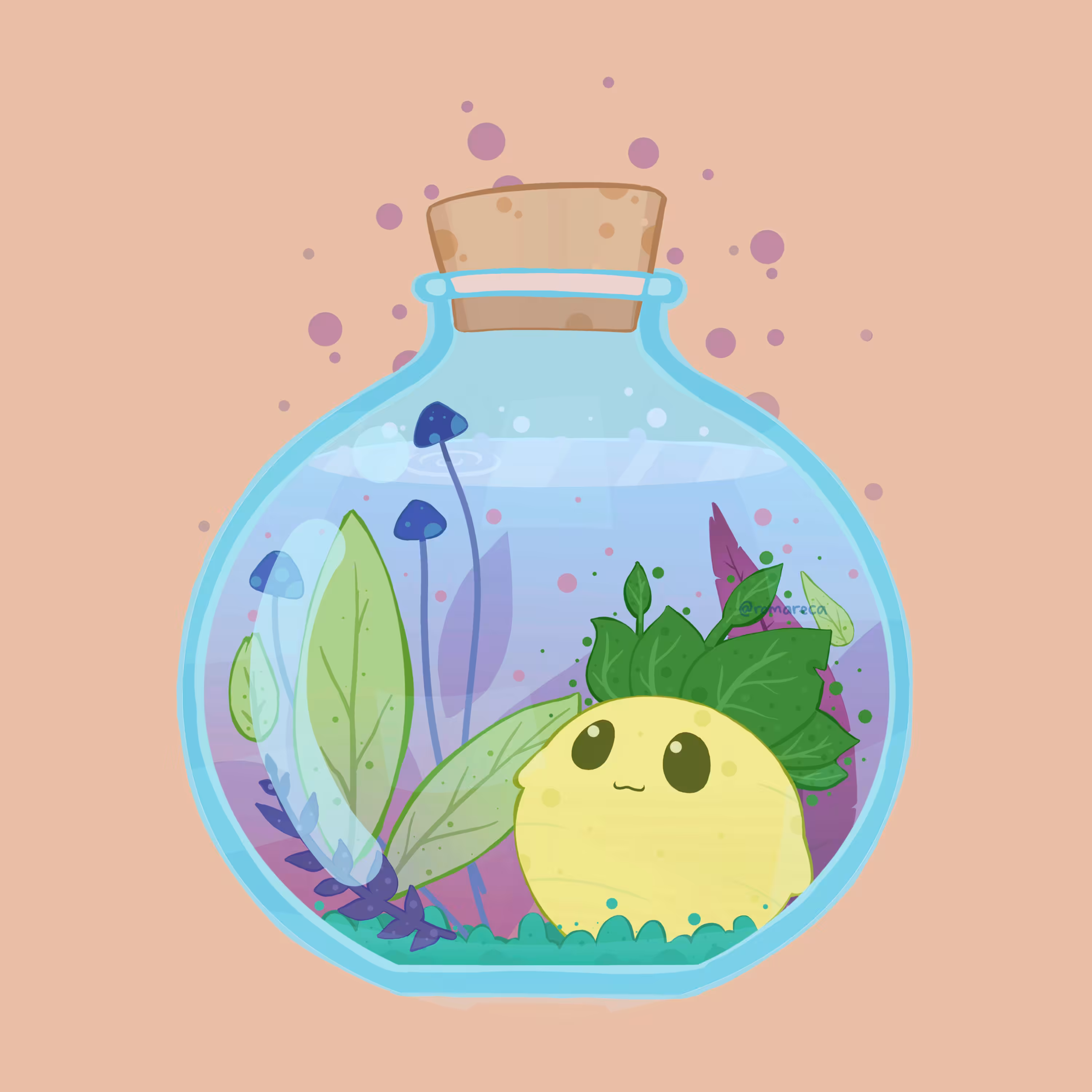 Mandragora