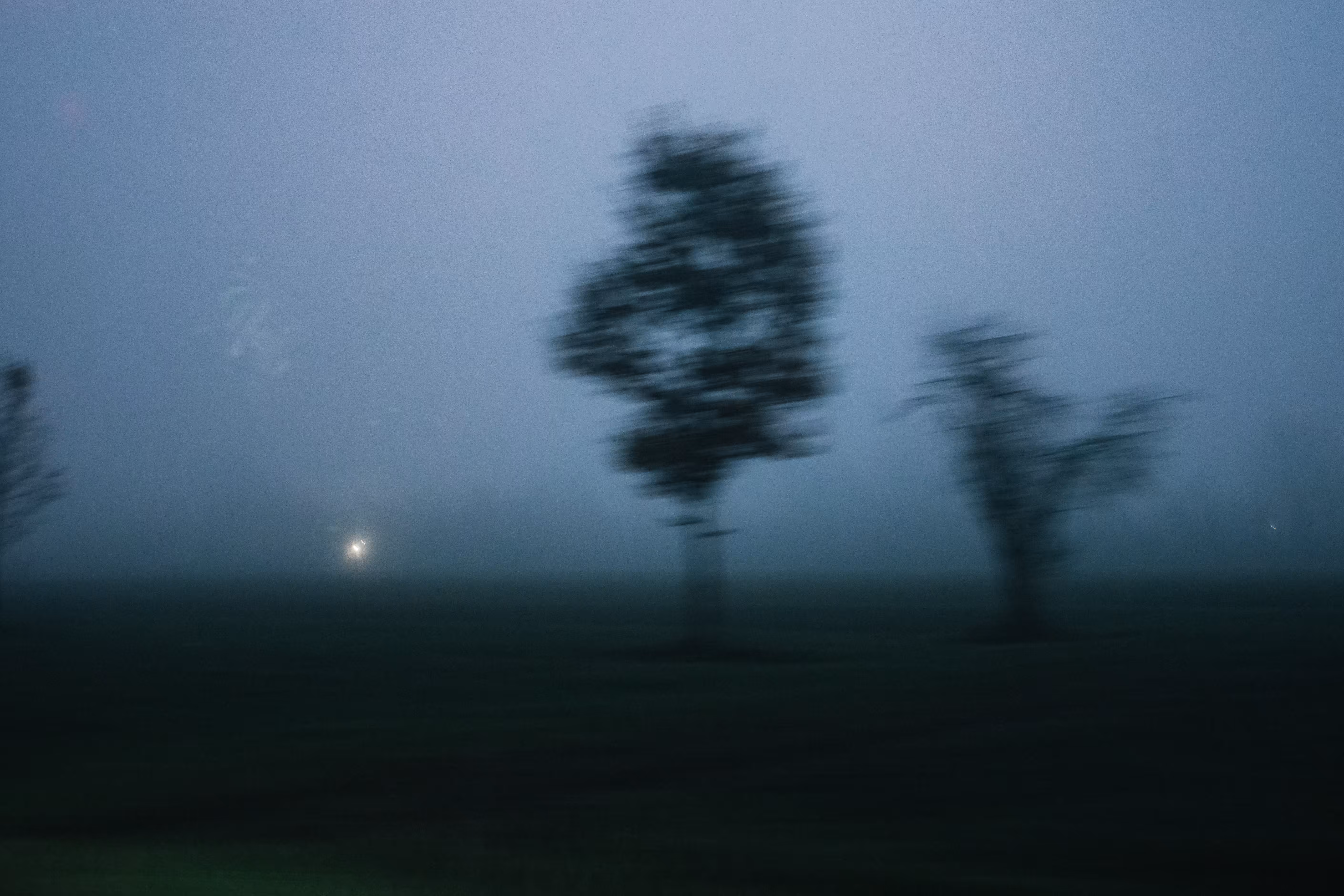 Misty movement of light and trees #3