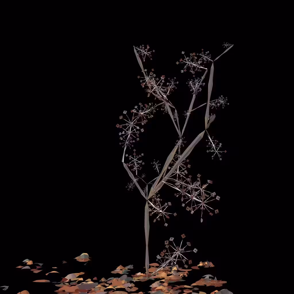 Prism_Rec FLWR7
