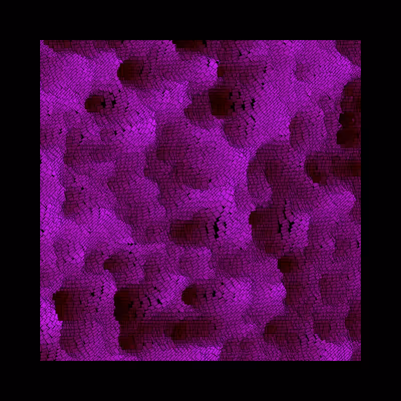 Field Curves #80