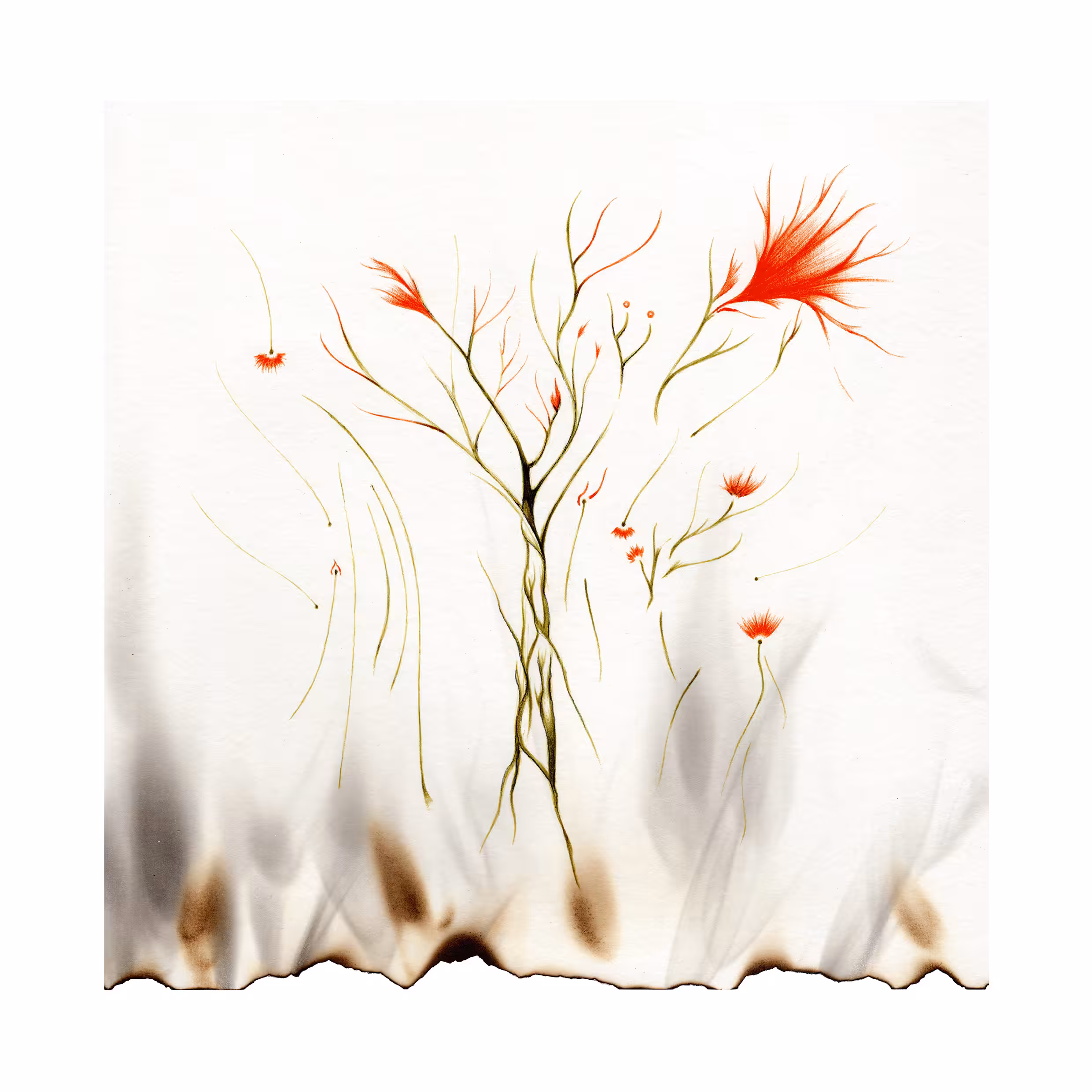 passing through the fire