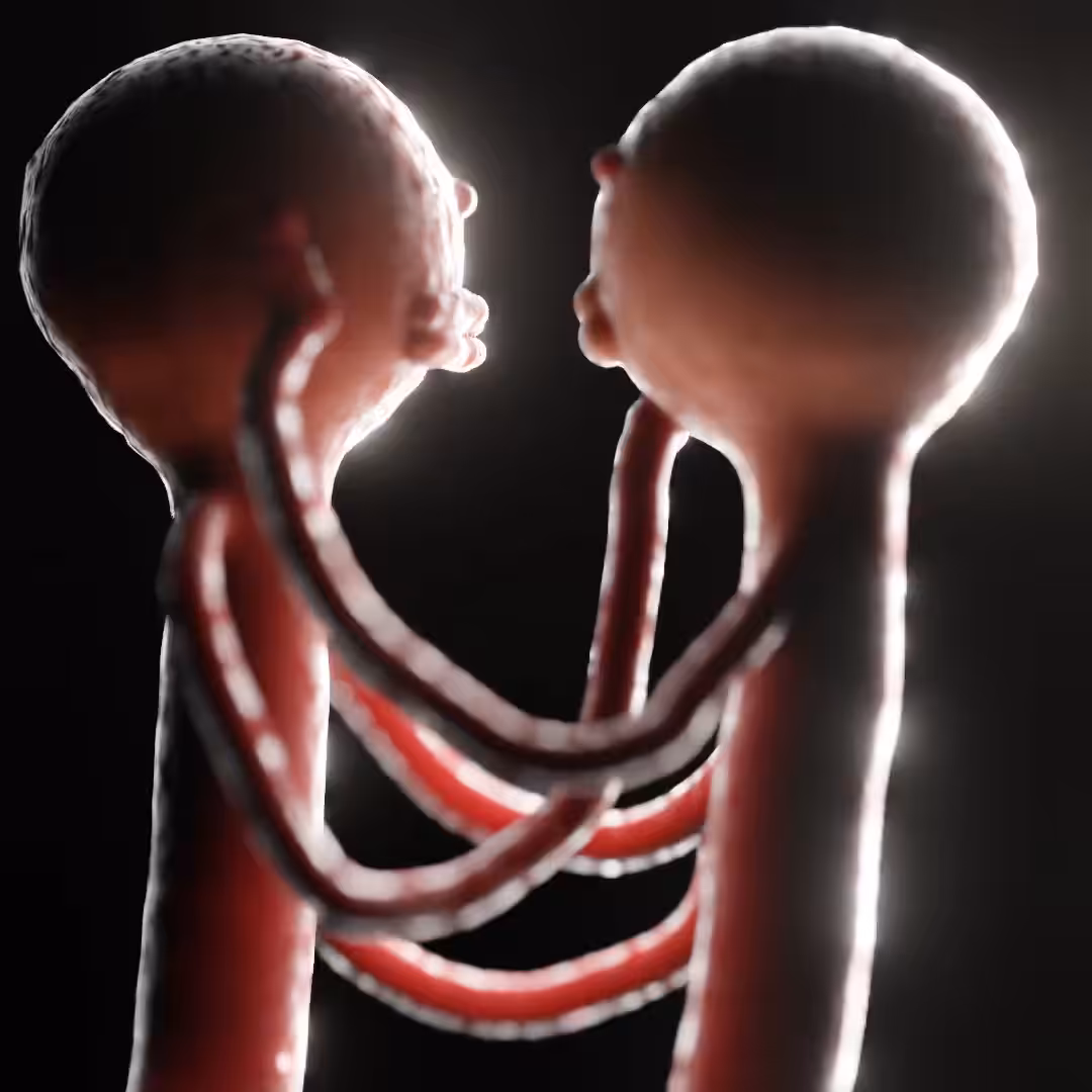 𝓣𝓱𝓮 𝓛𝓸𝓿𝓮𝓻𝓼