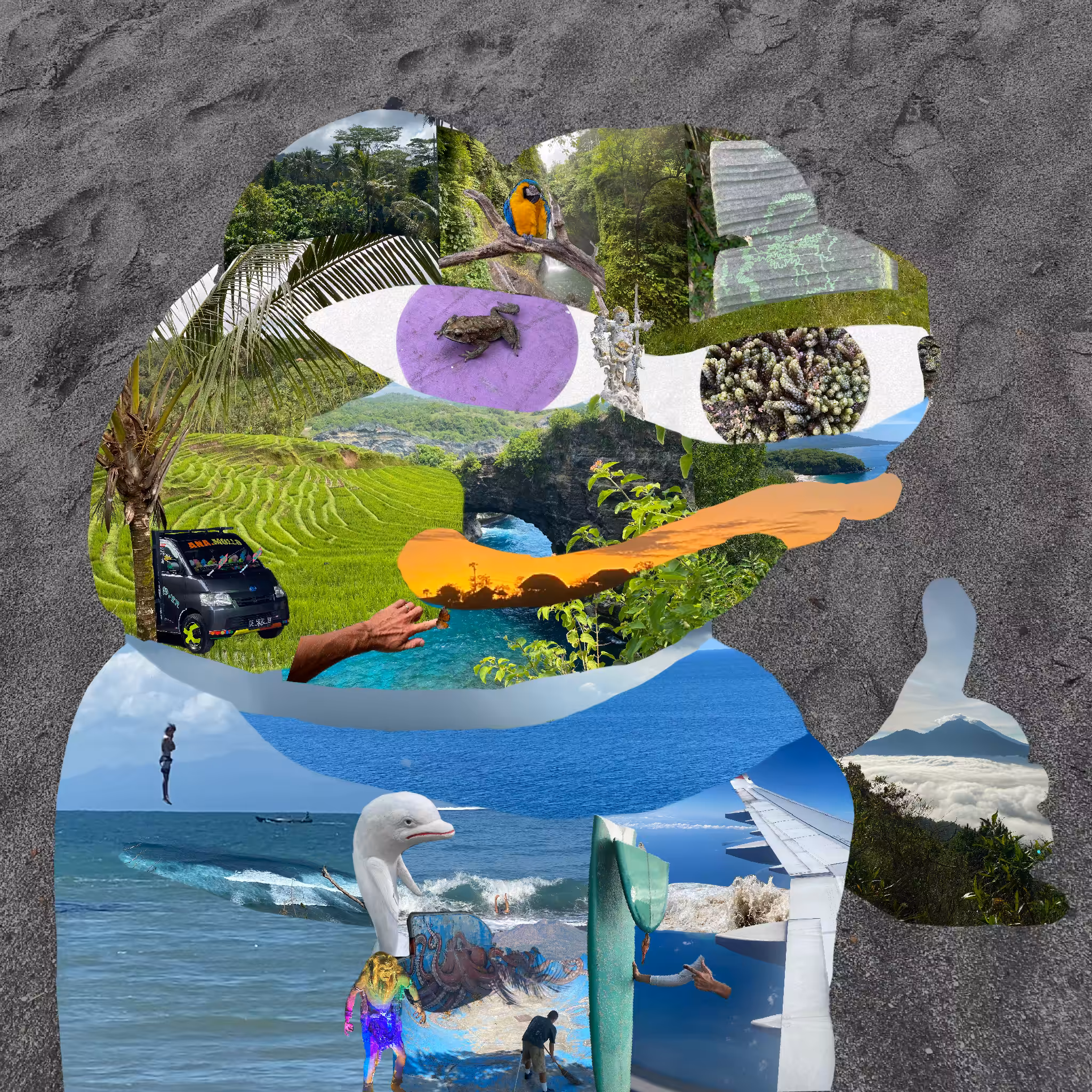 Frogged island