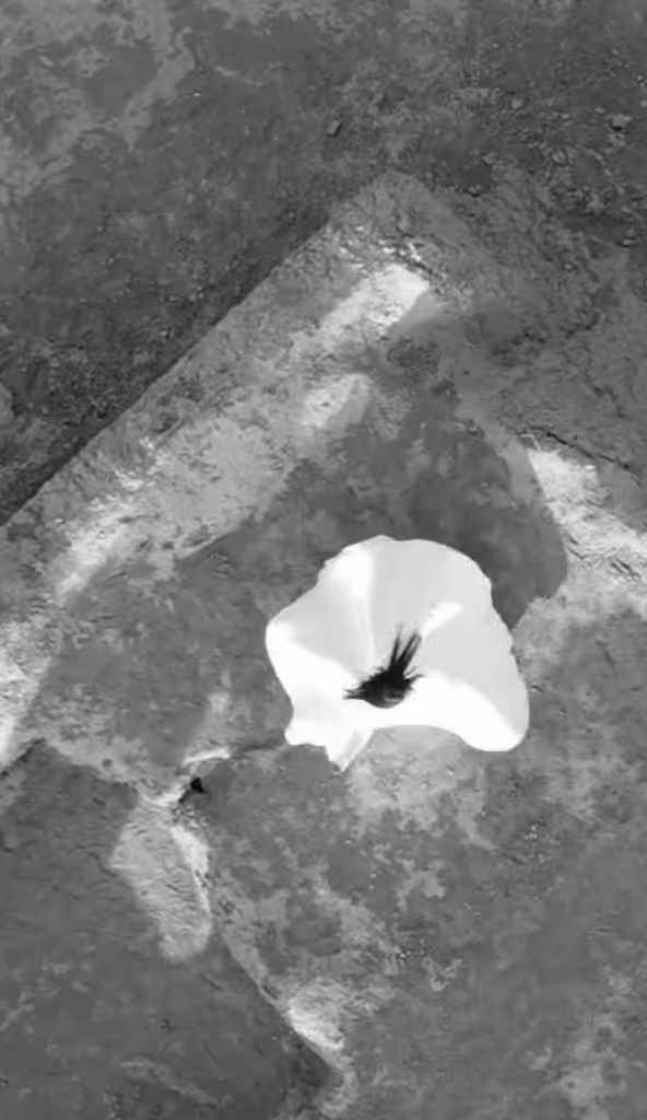 Infinite Orbit: A body dissolving into motion