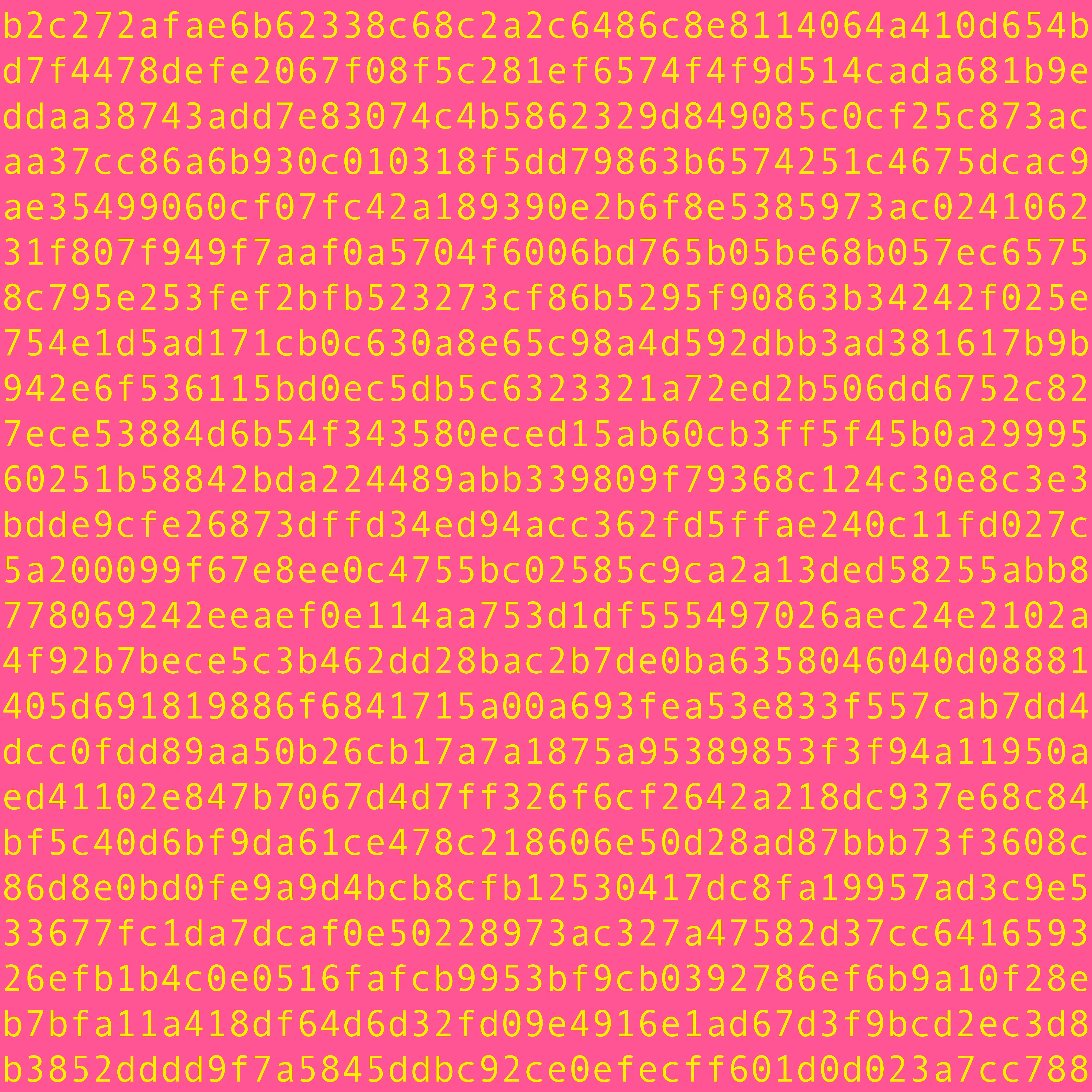 1111 #0241