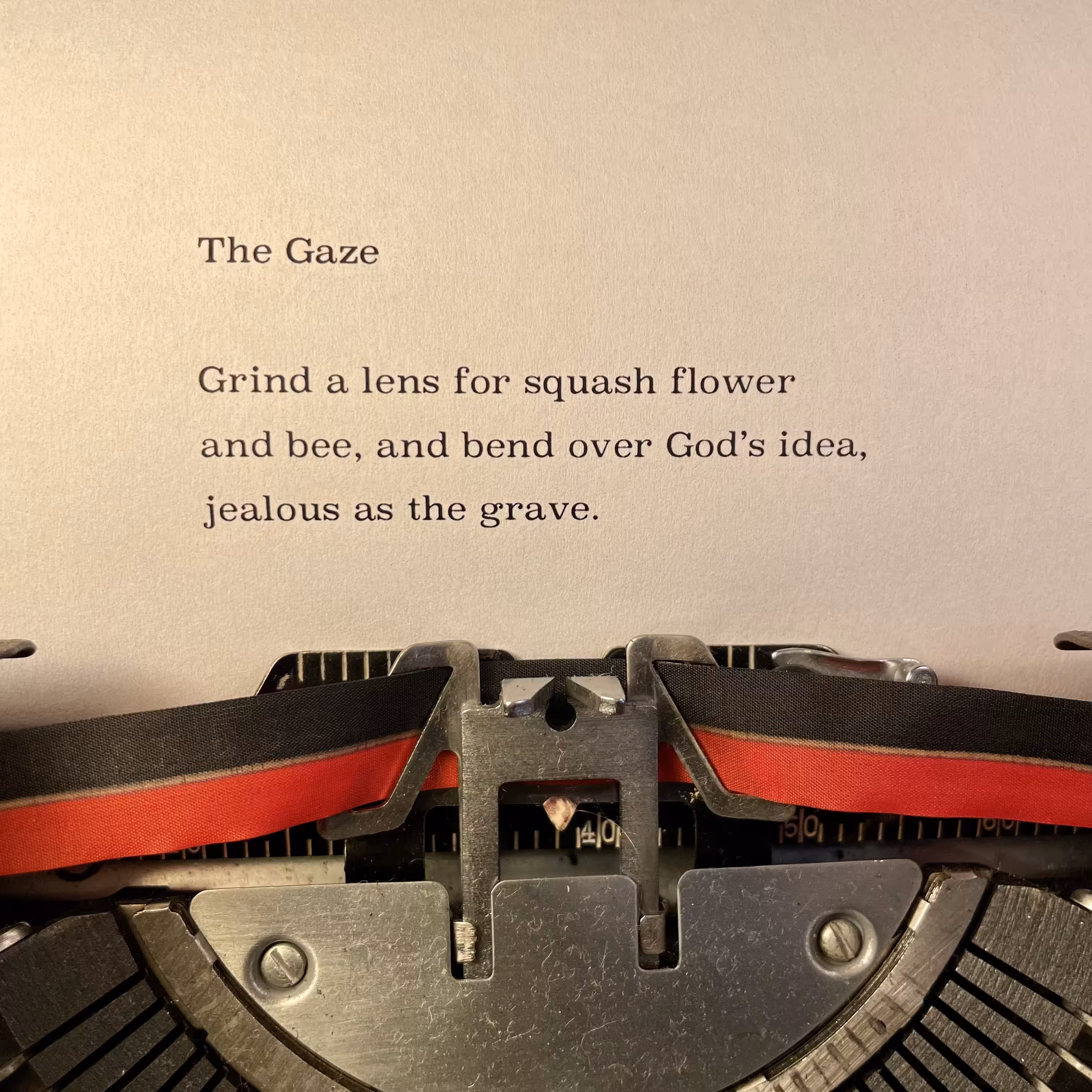 Love Poem Tercets: The Gaze