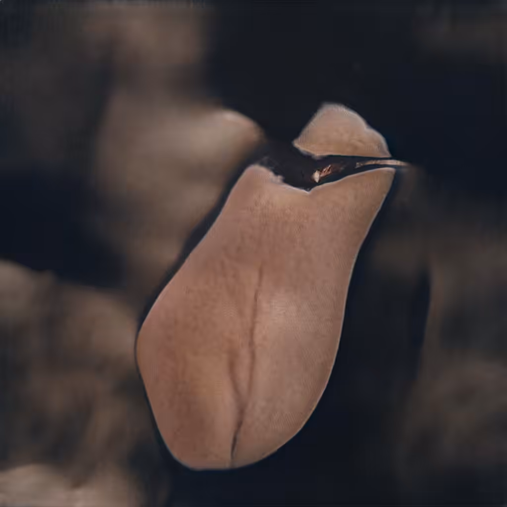 Premium: Flesh: Crease