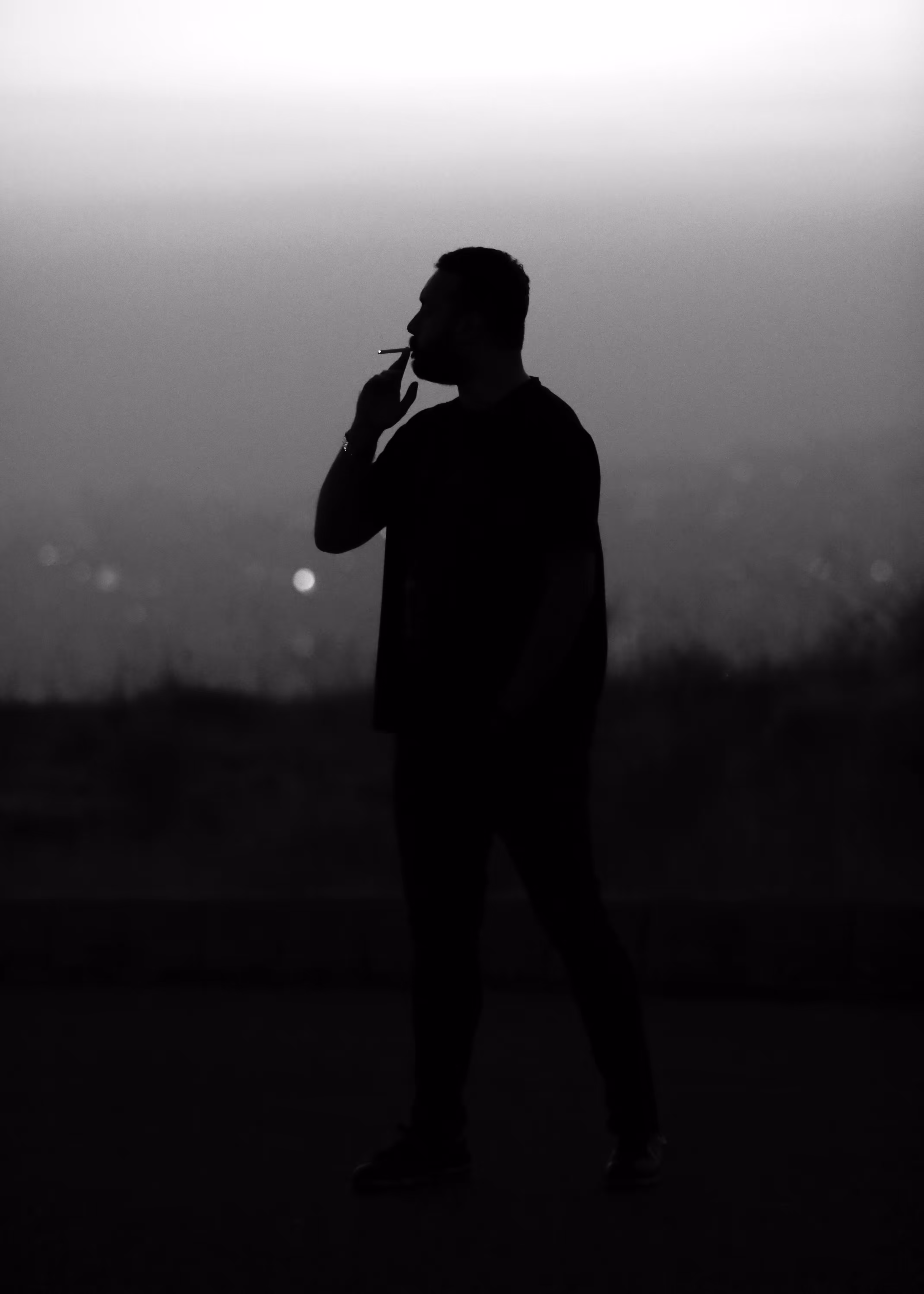 Every Man Dies Alone