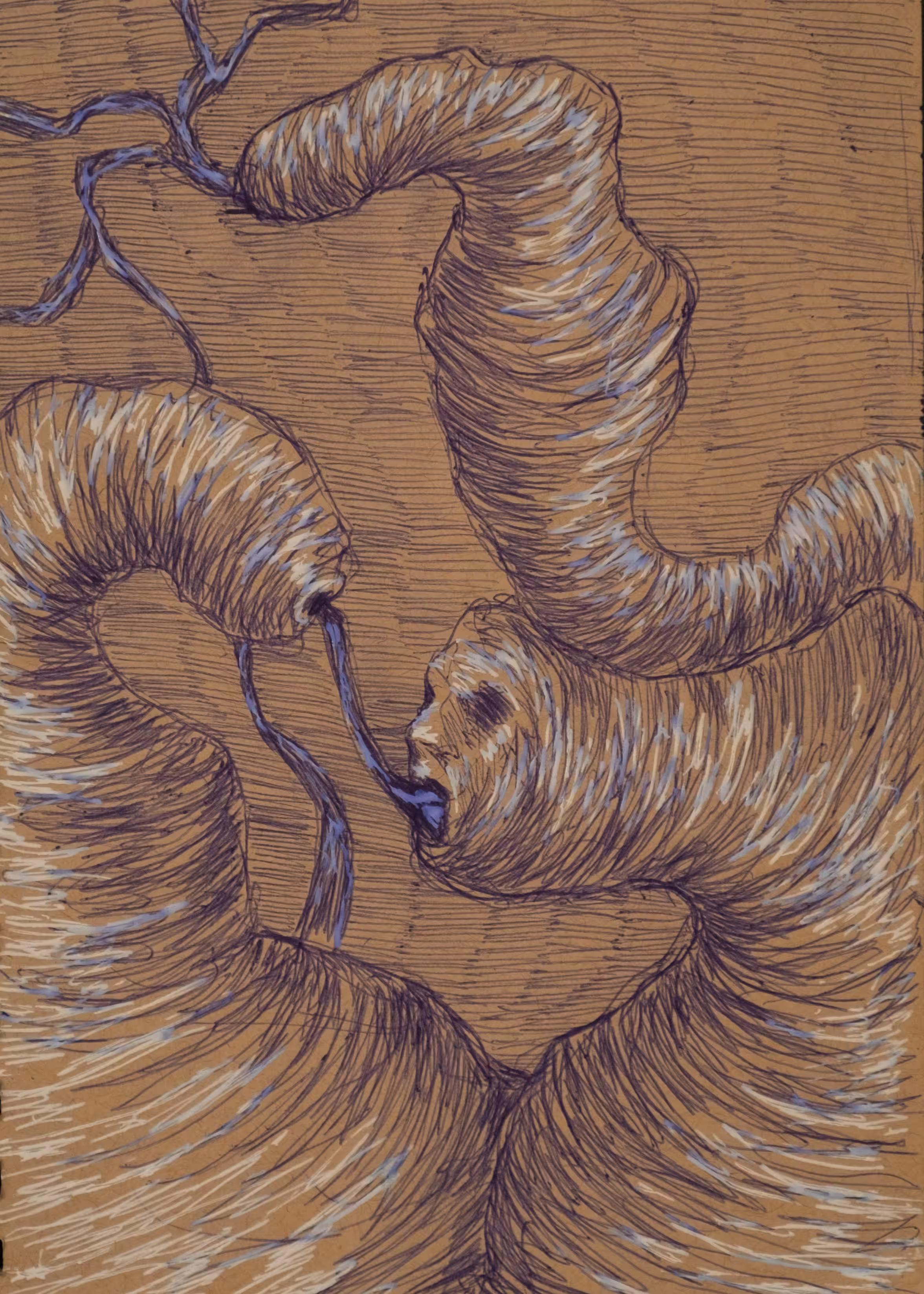 P D A 