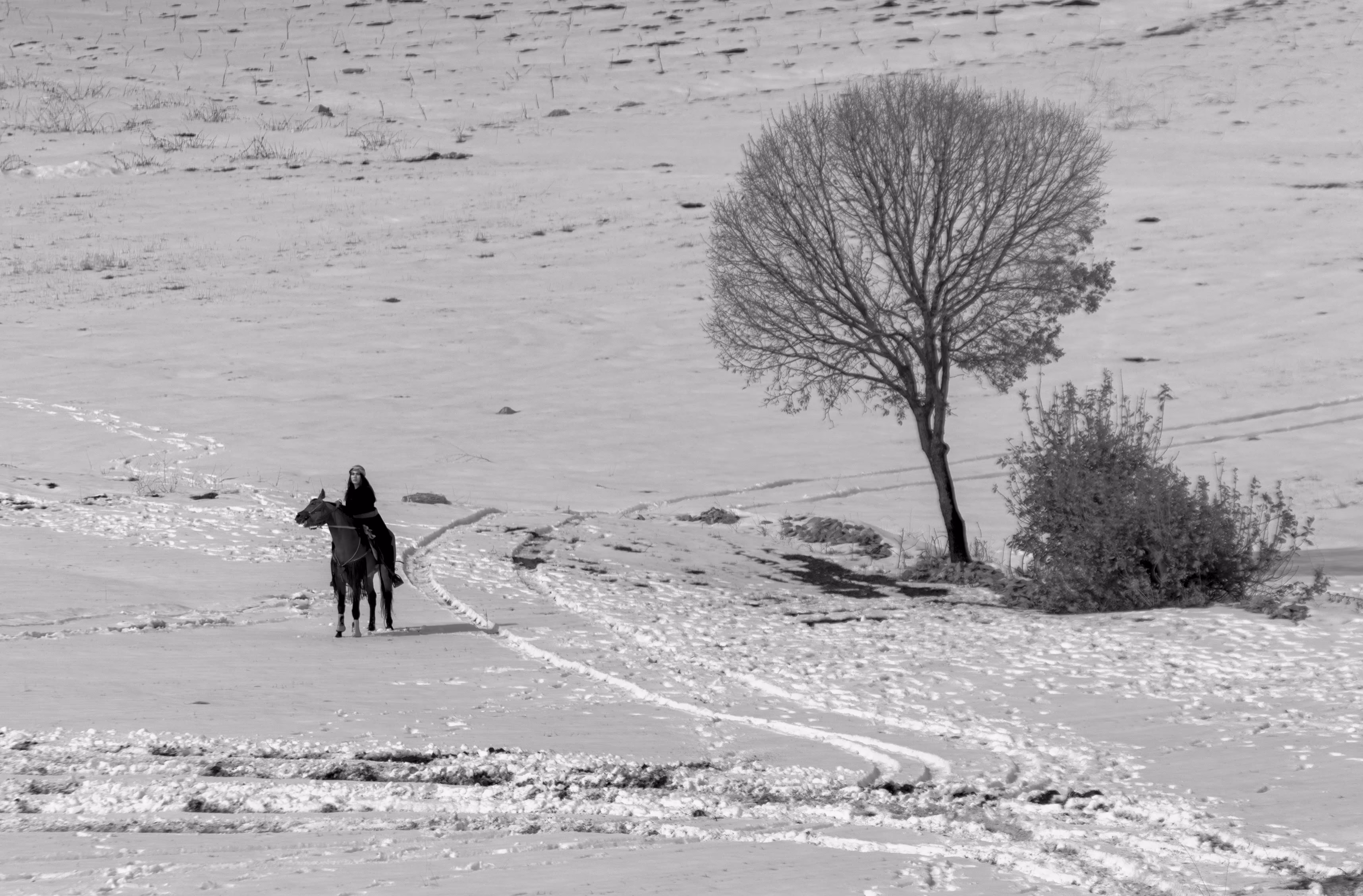 The Happy Valley: Horse riding girl