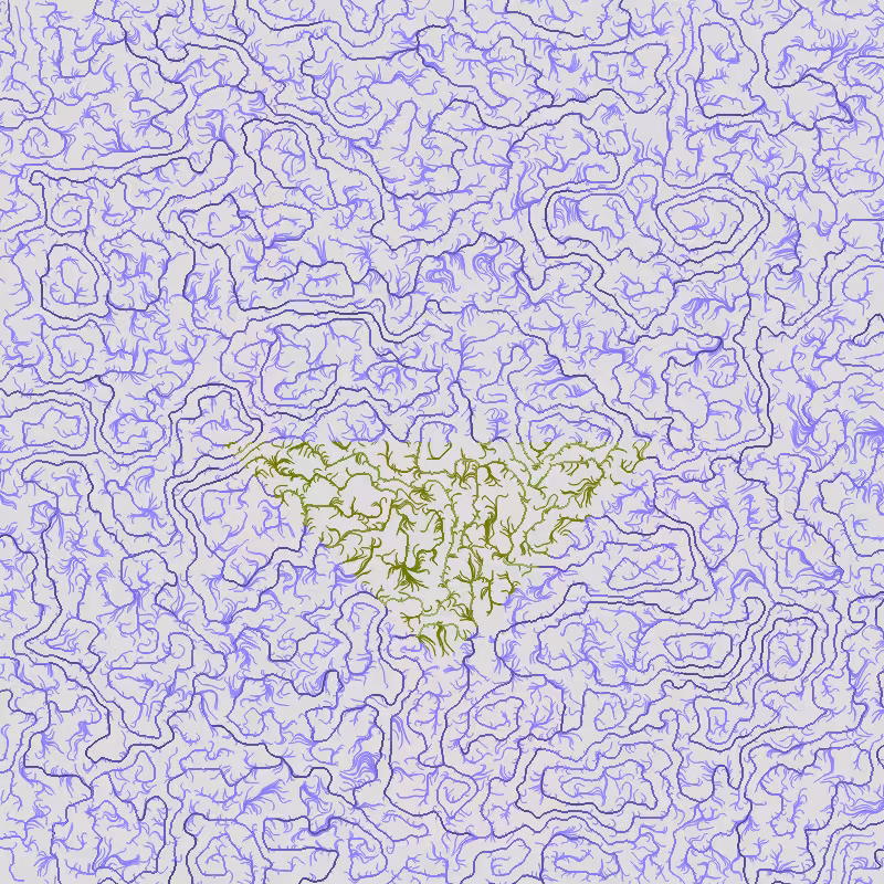 Plains #213