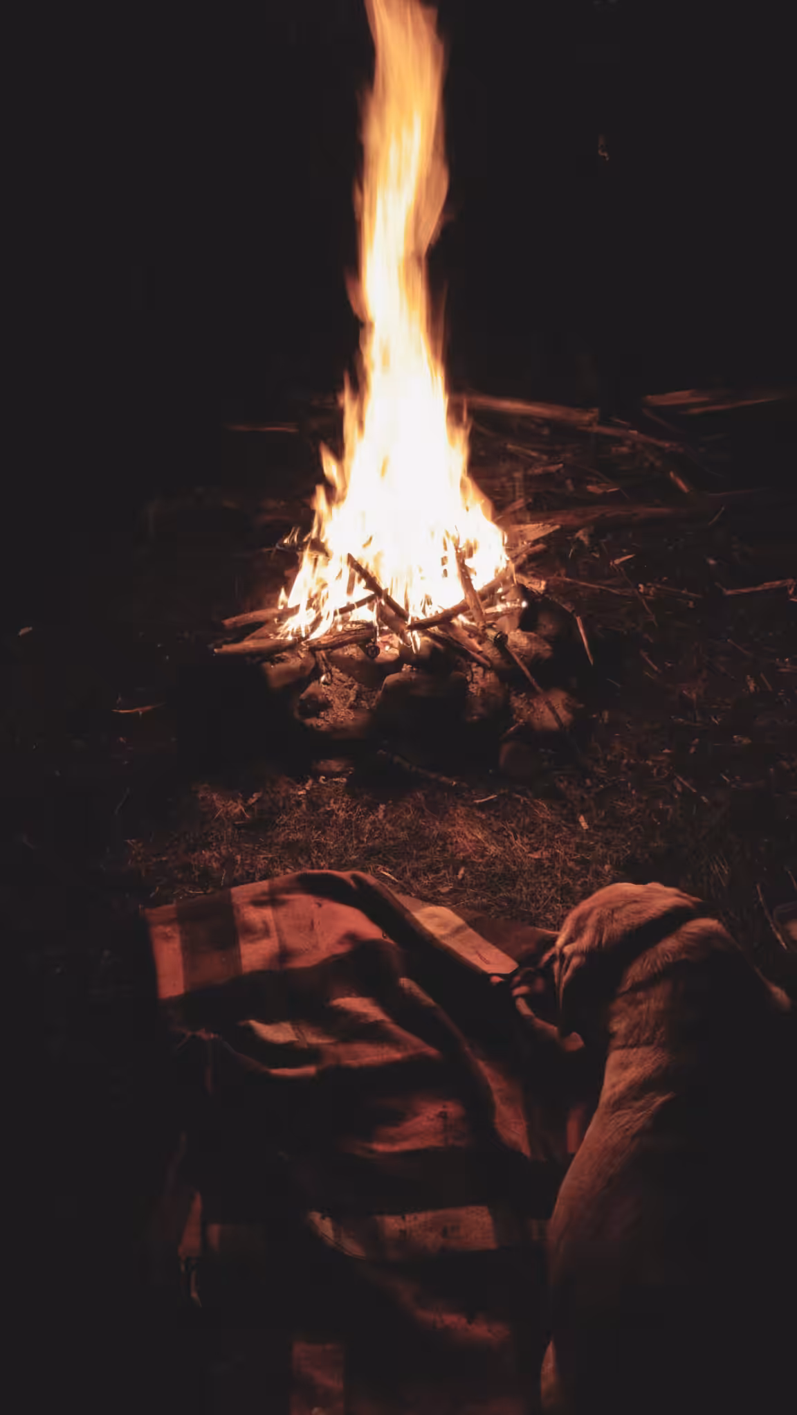 Nights Like These