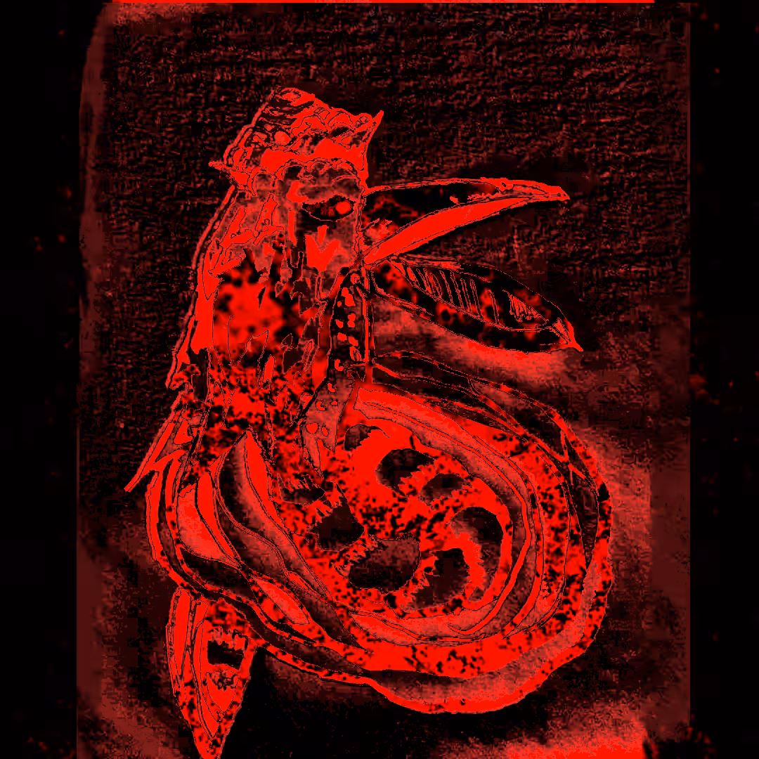 Dark dragon - Red In Black