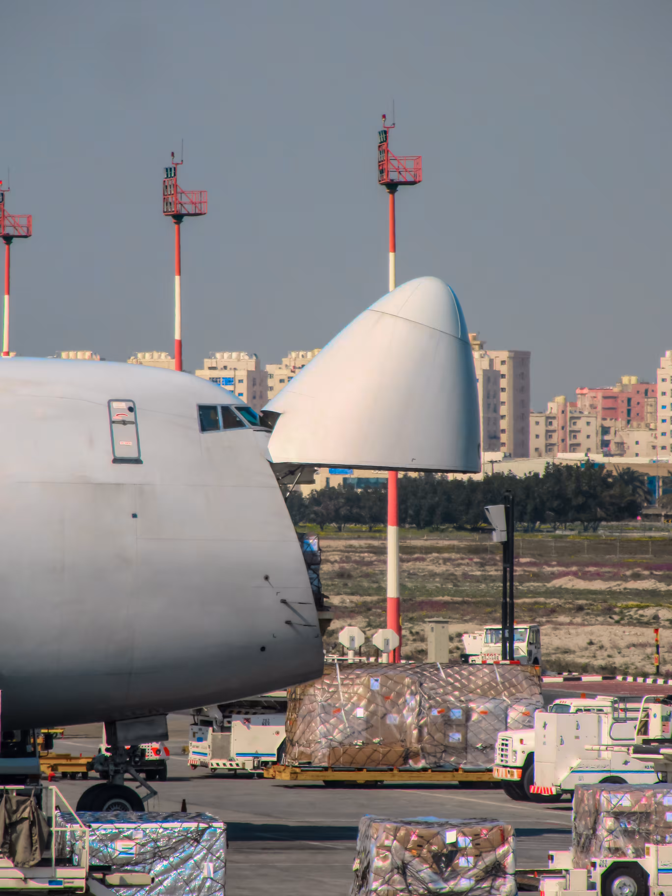 Architecture of Flight