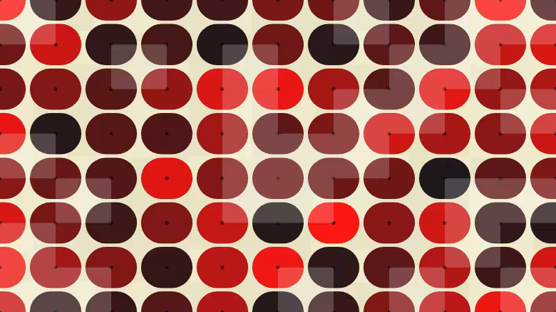 Polka #113