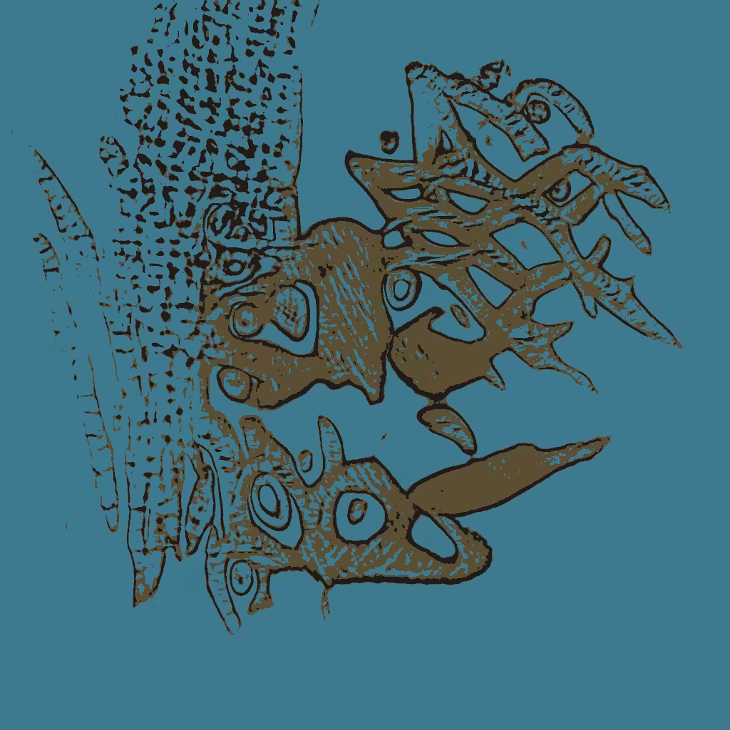 Confluence #679
