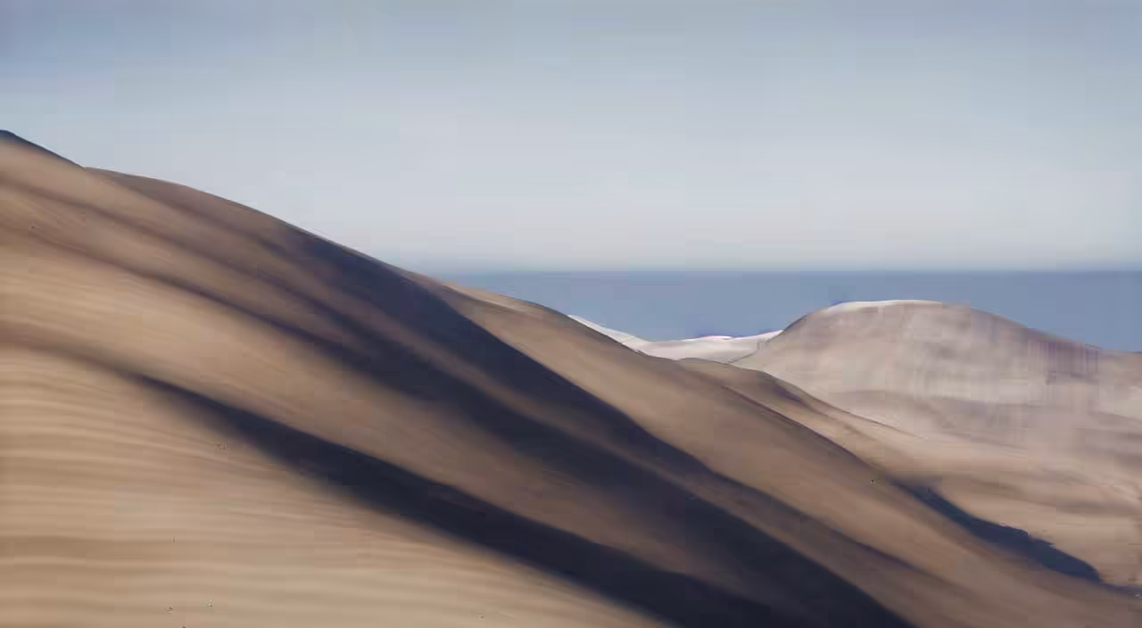 Milo Poelman - Landscape 1 - Warp
