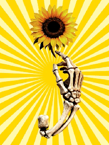 Sunflowers Over Suicide: Semicolon-11