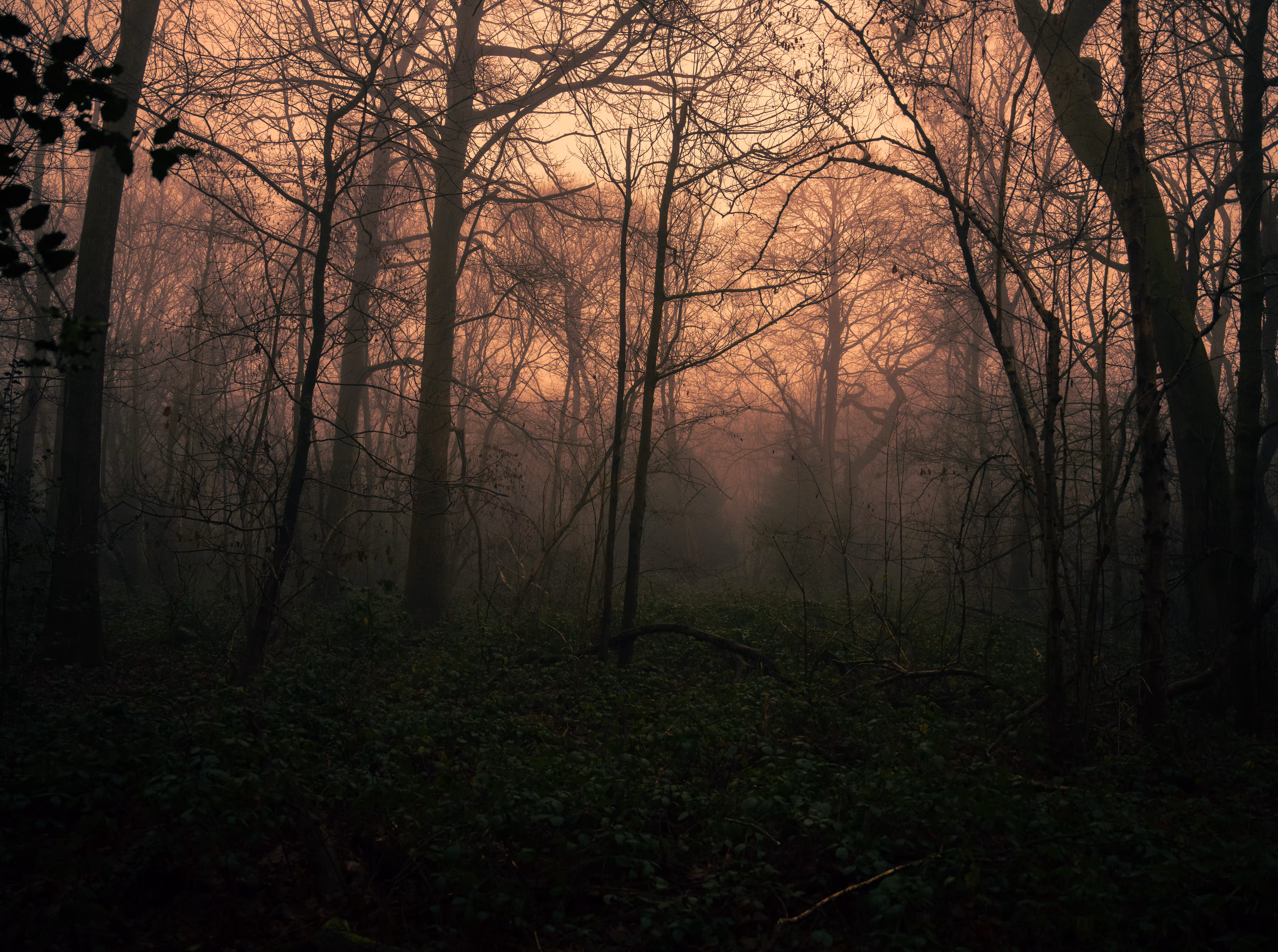 A sense of calmness