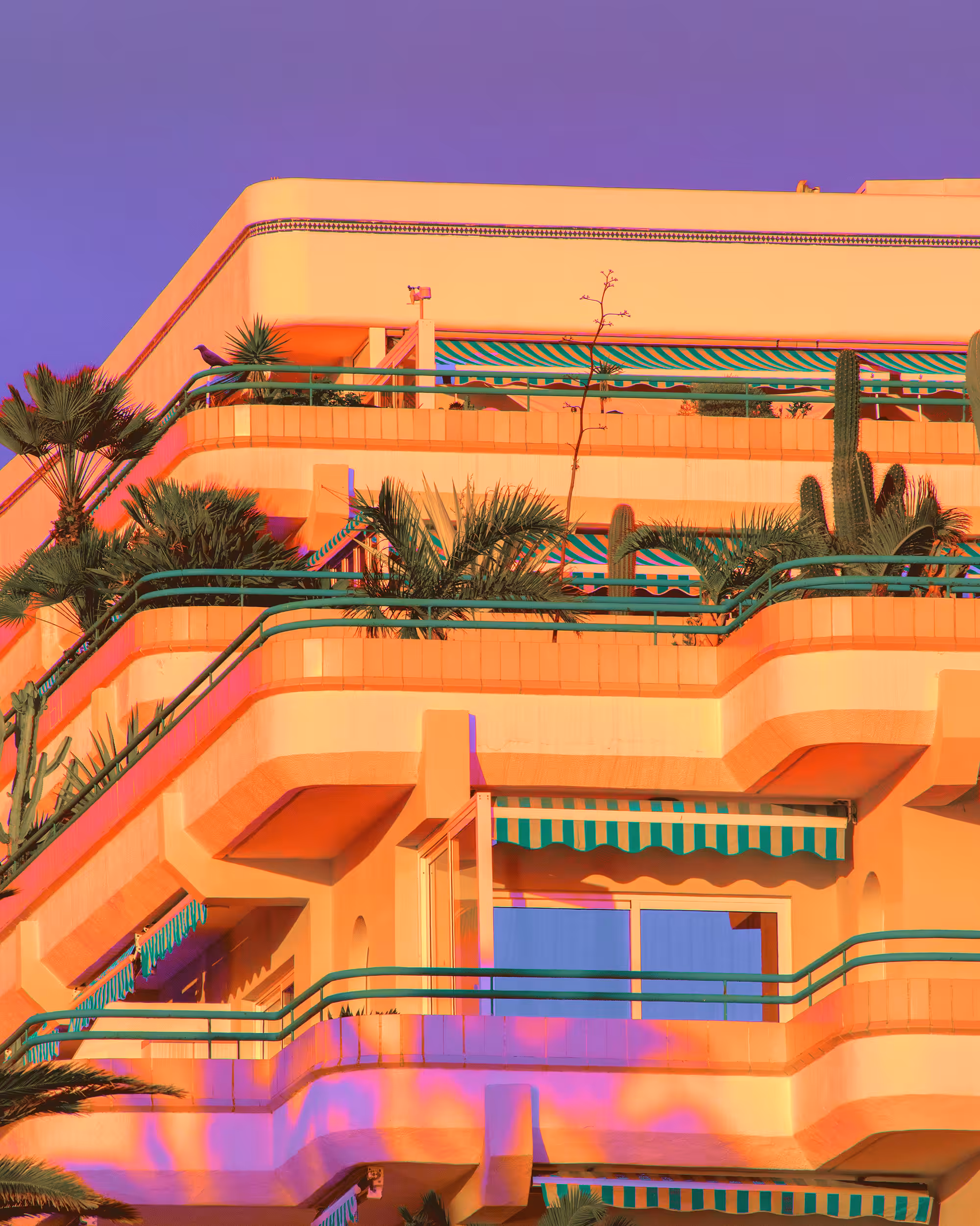 High Rise Gardening
