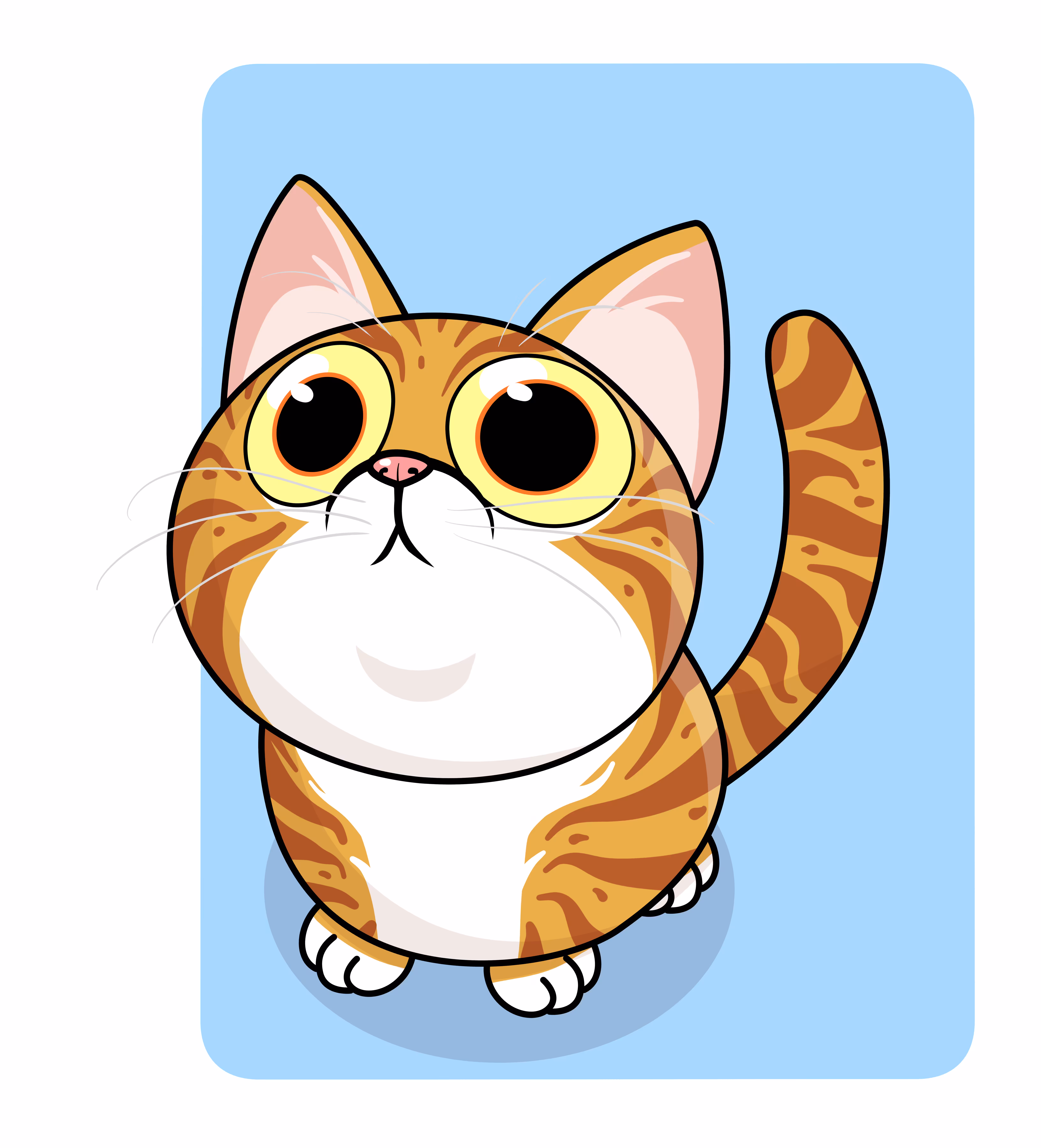 Cat Staring Galaxy #E0003