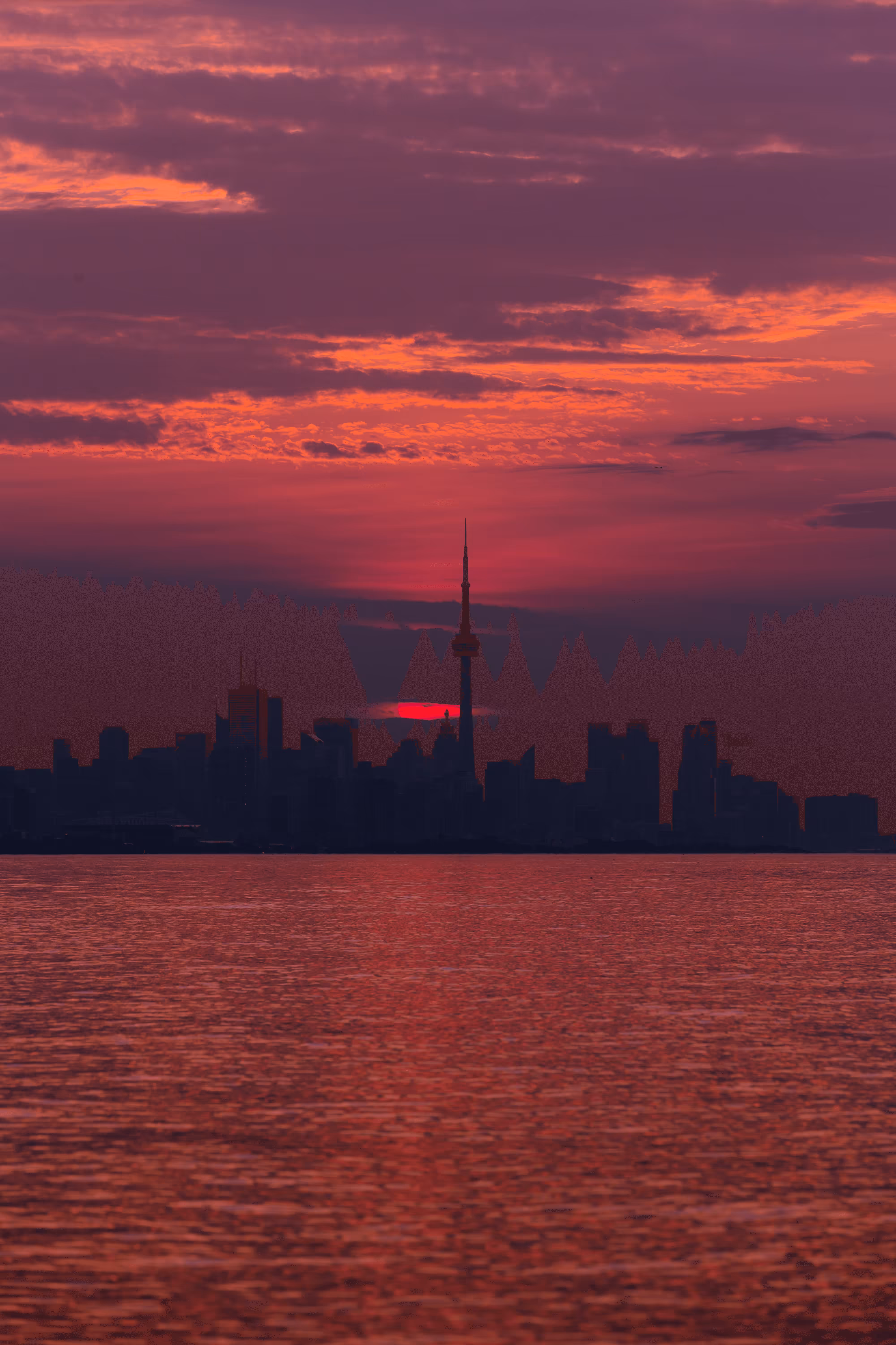 Toronto: A City of Colour - #7