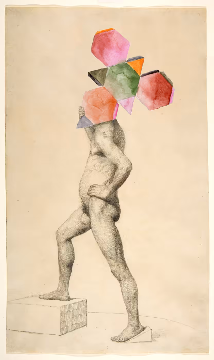 academic study VII