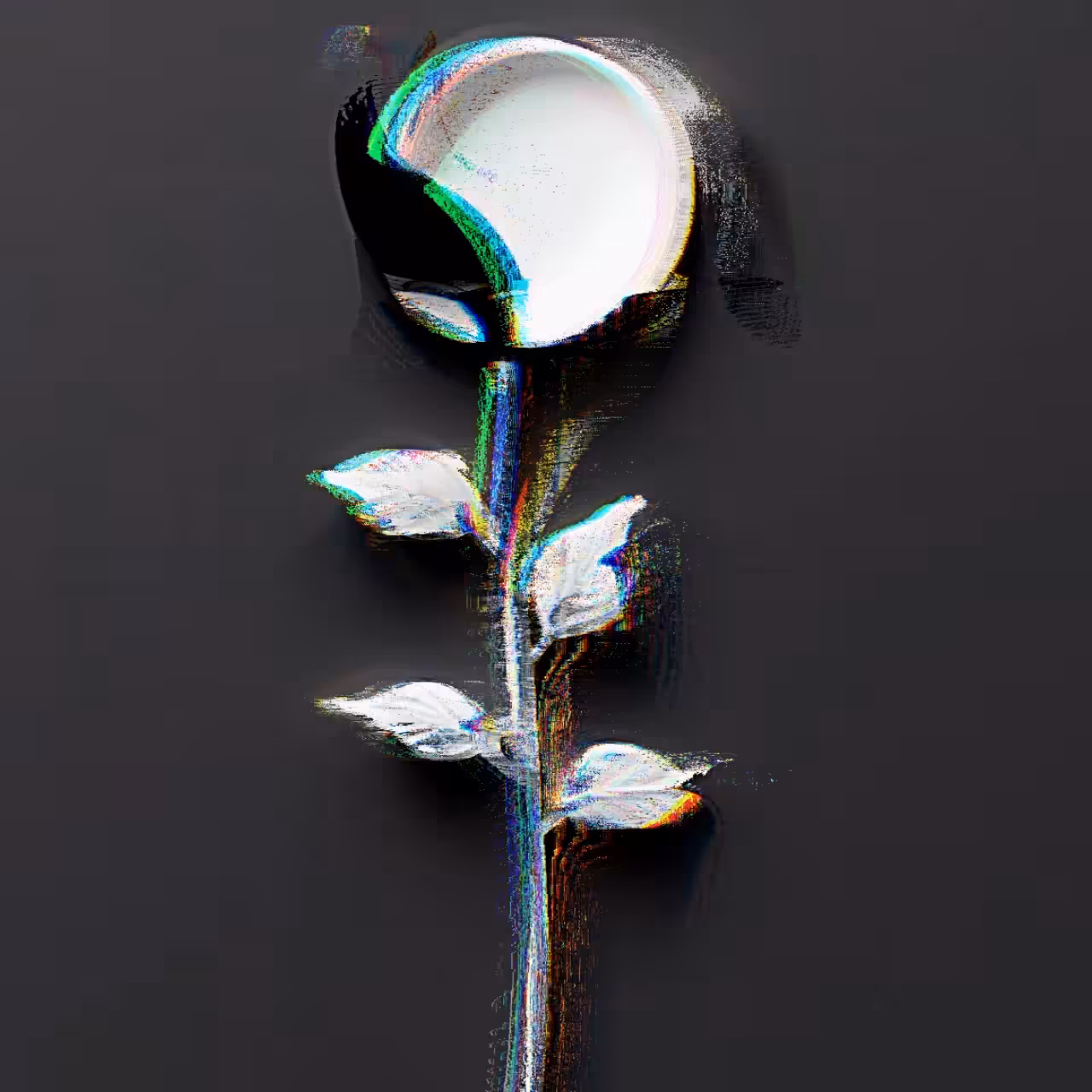 Opaque in Focus