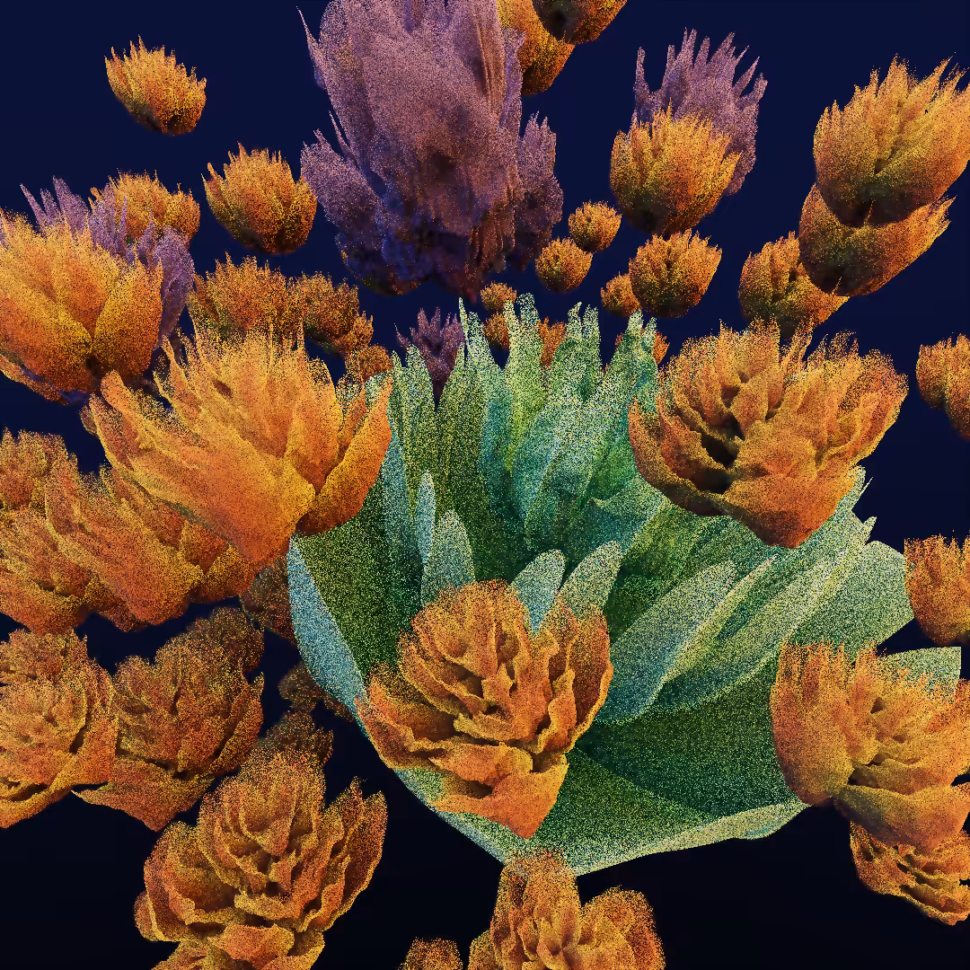 rosarium #41