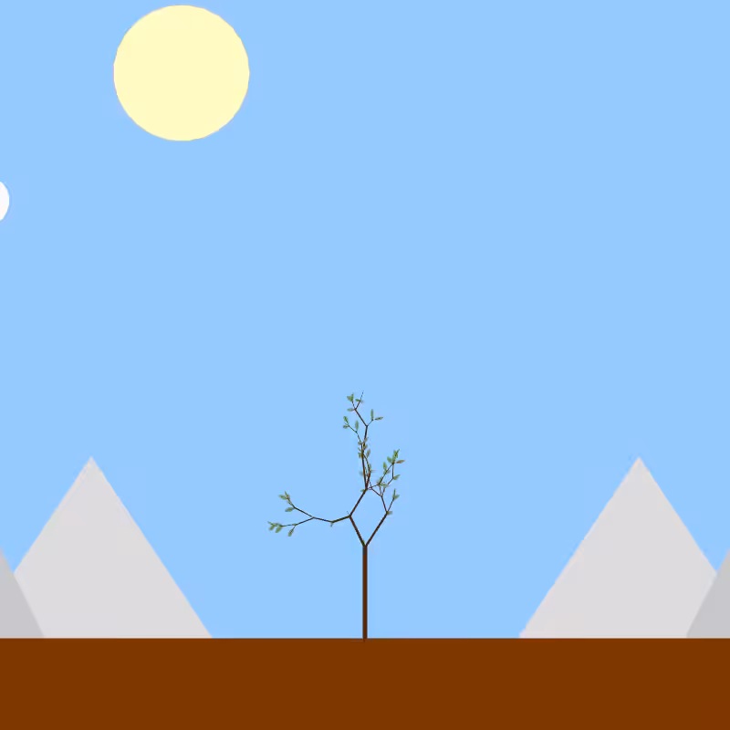 From seedling to tree #23