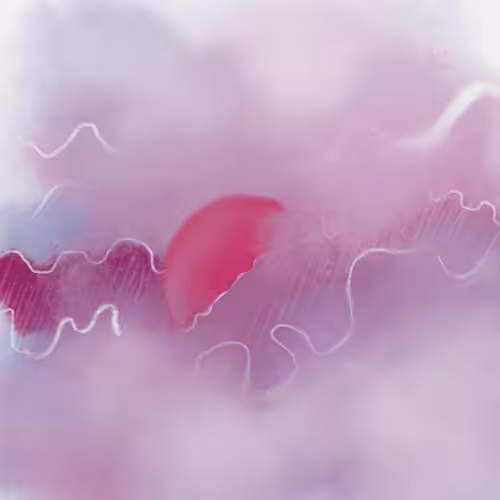 pink sunrise 