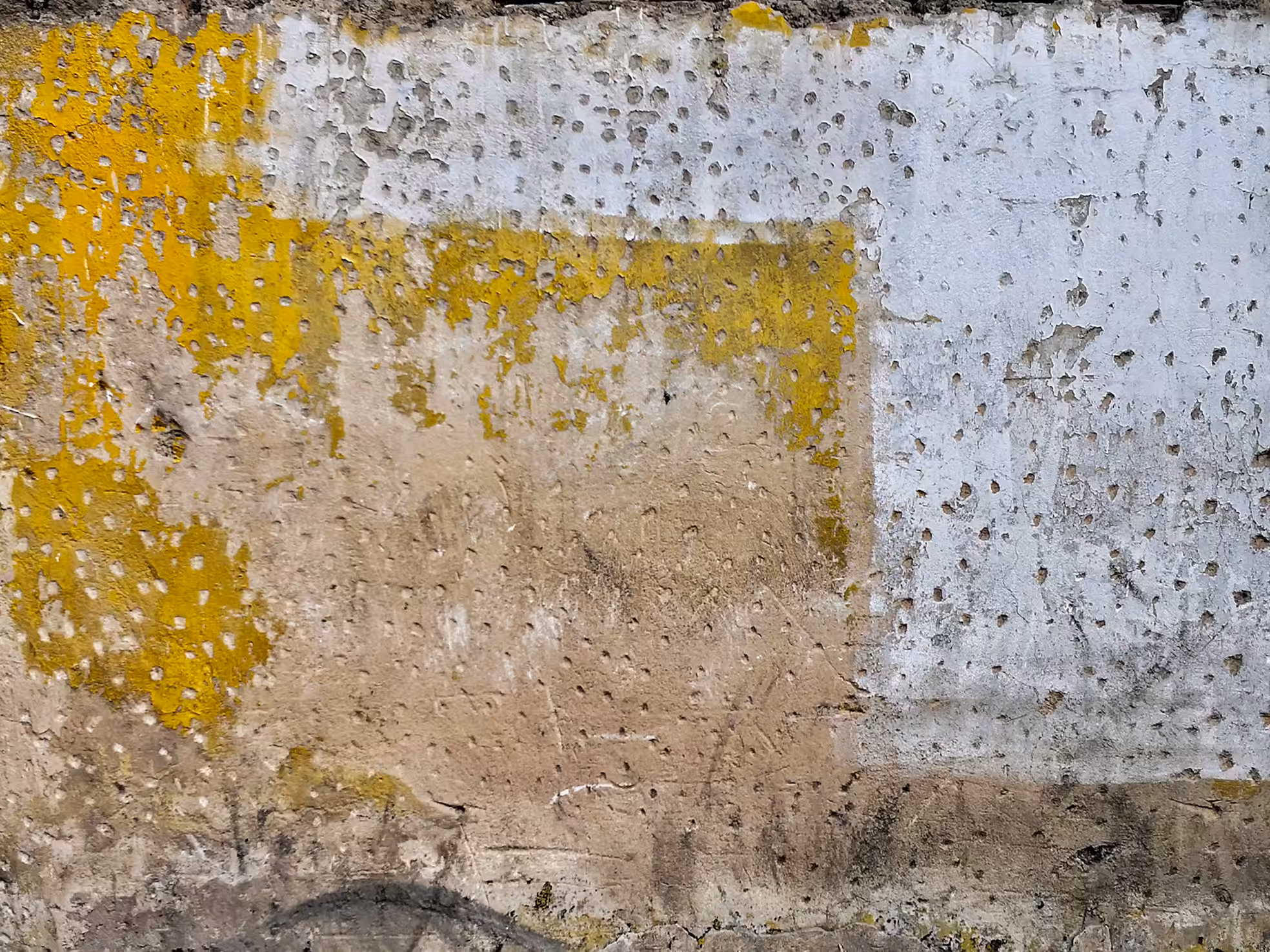 The Wall #2