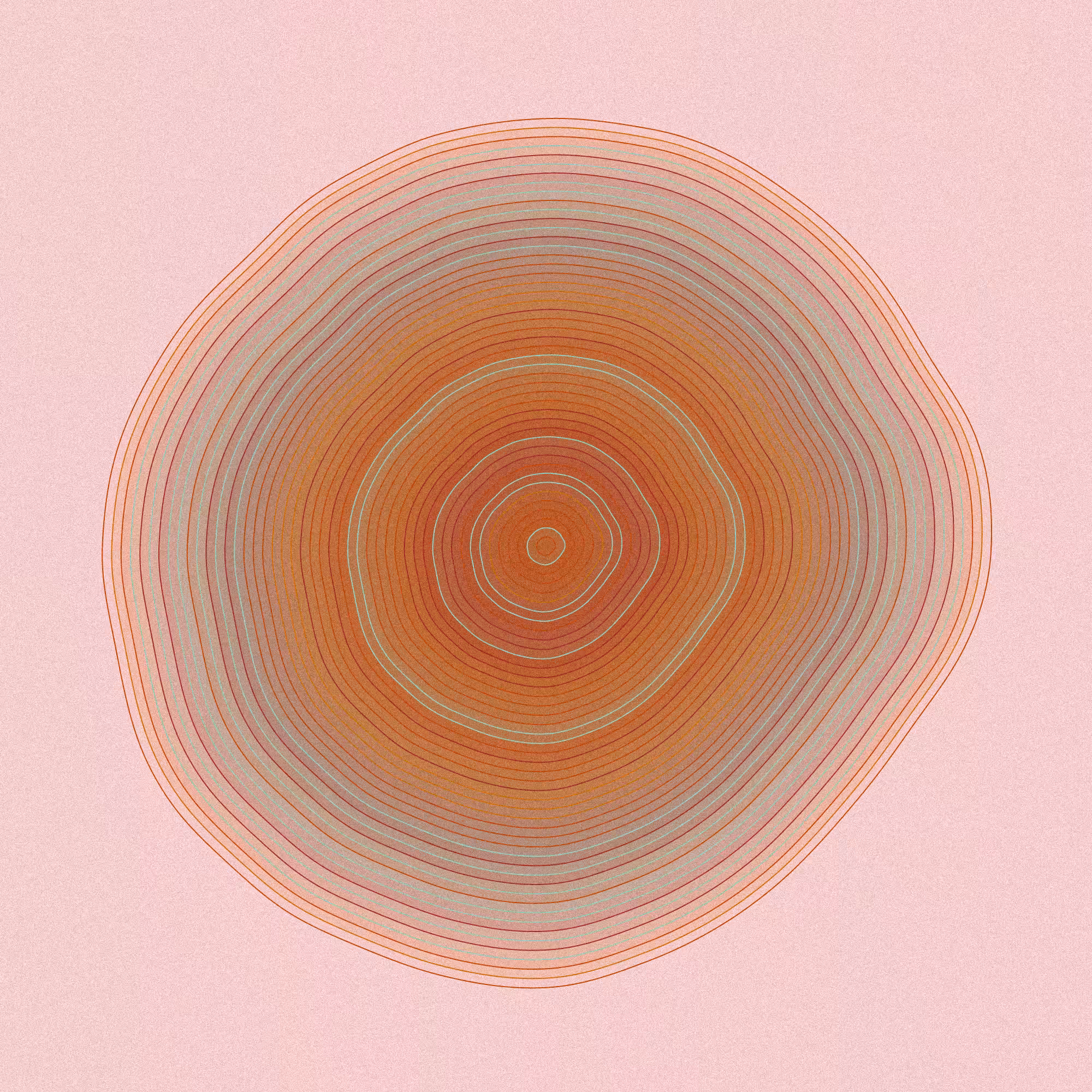 Hashed Onions #40