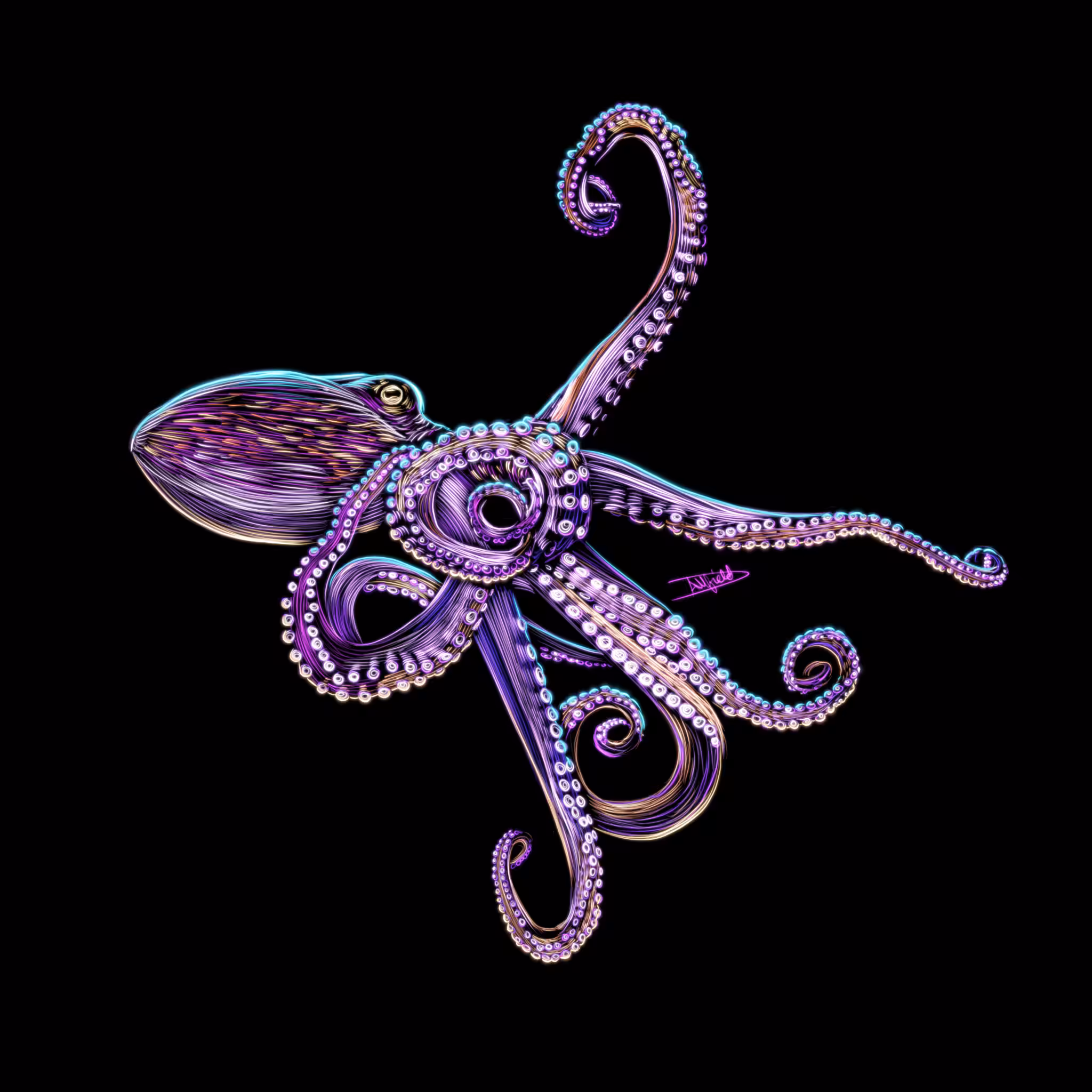 Octopus