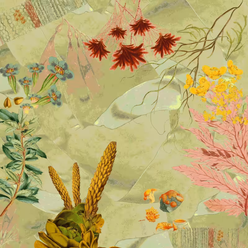 future flora from Antarctica's past #42